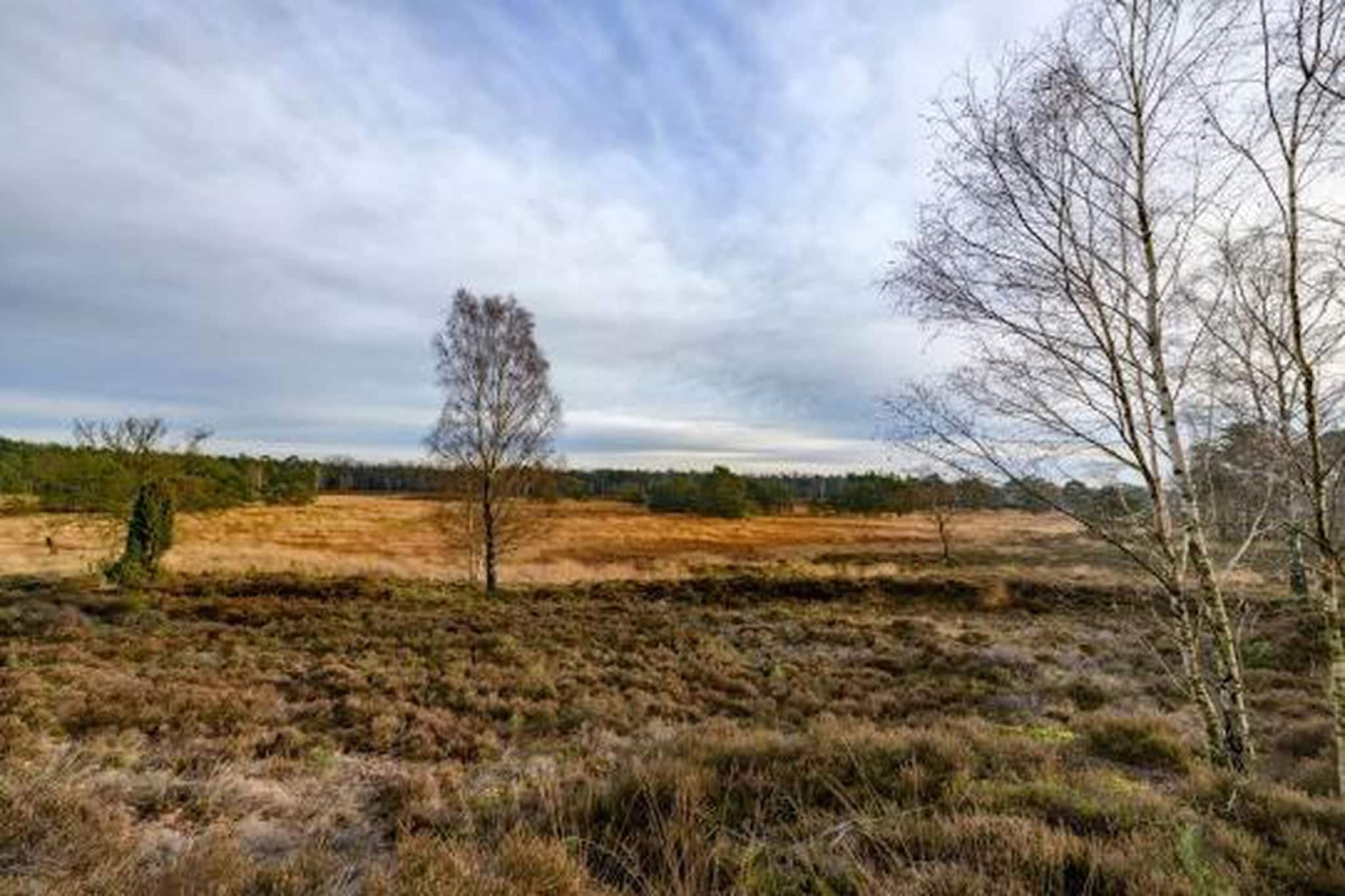 Bospark de Schaapskooi 8-Areas summer 20km