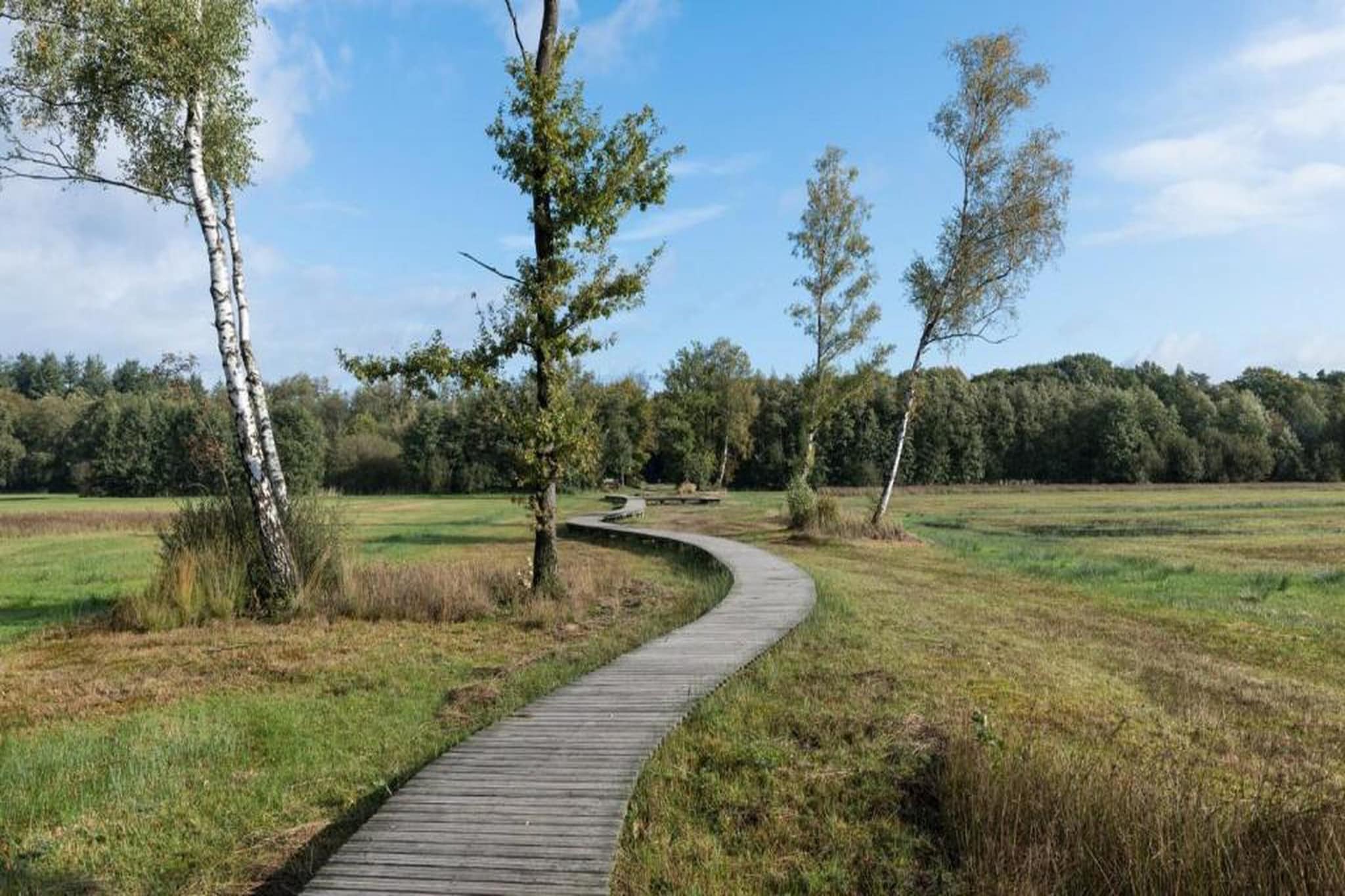 Bospark de Schaapskooi 8-Areas summer 20km