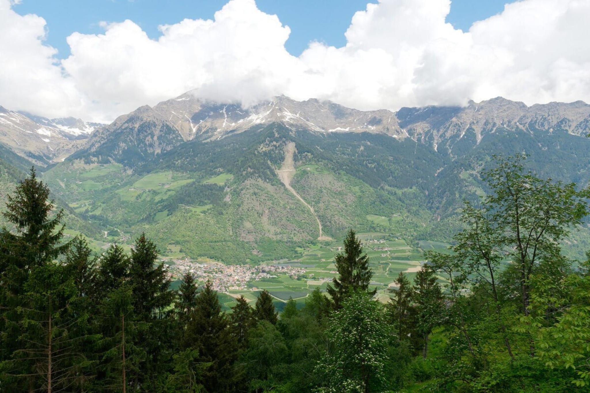 210044 - Areas within 5km in summer