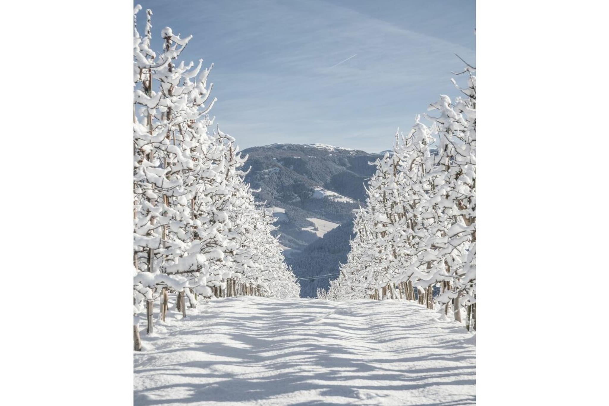 404914 - Gebied winter 5km