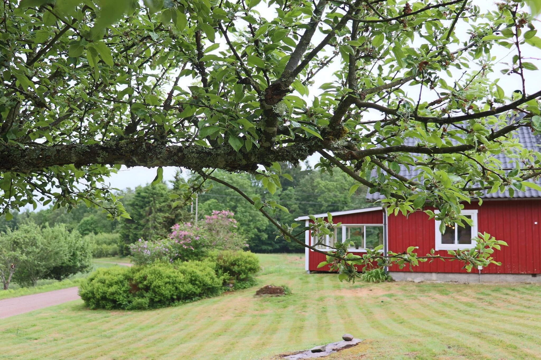 4 sterren vakantie huis in KNÄRED - Buitenlucht