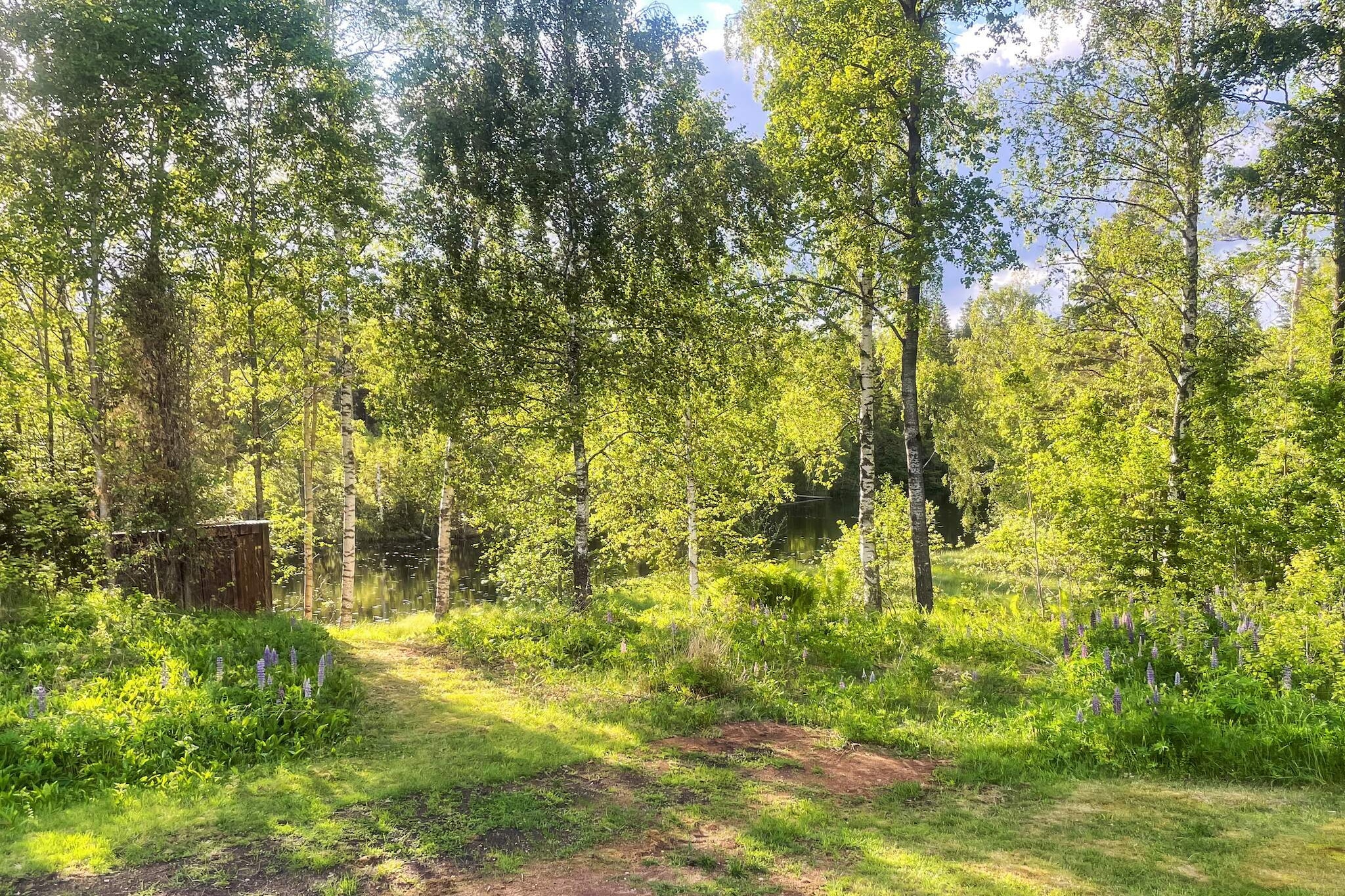 4 Personen Ferienhaus in HÅCKSVIK - Im Freien