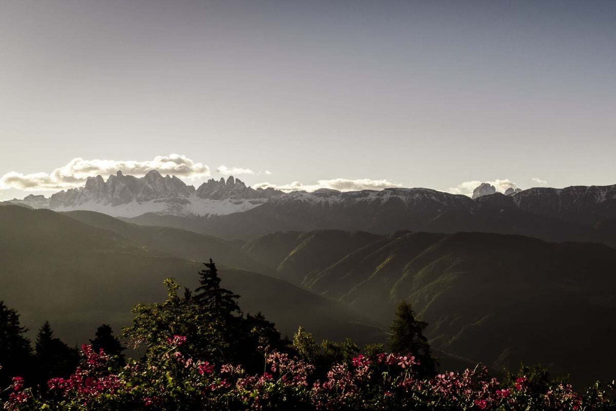216131 - Vue d'hiver