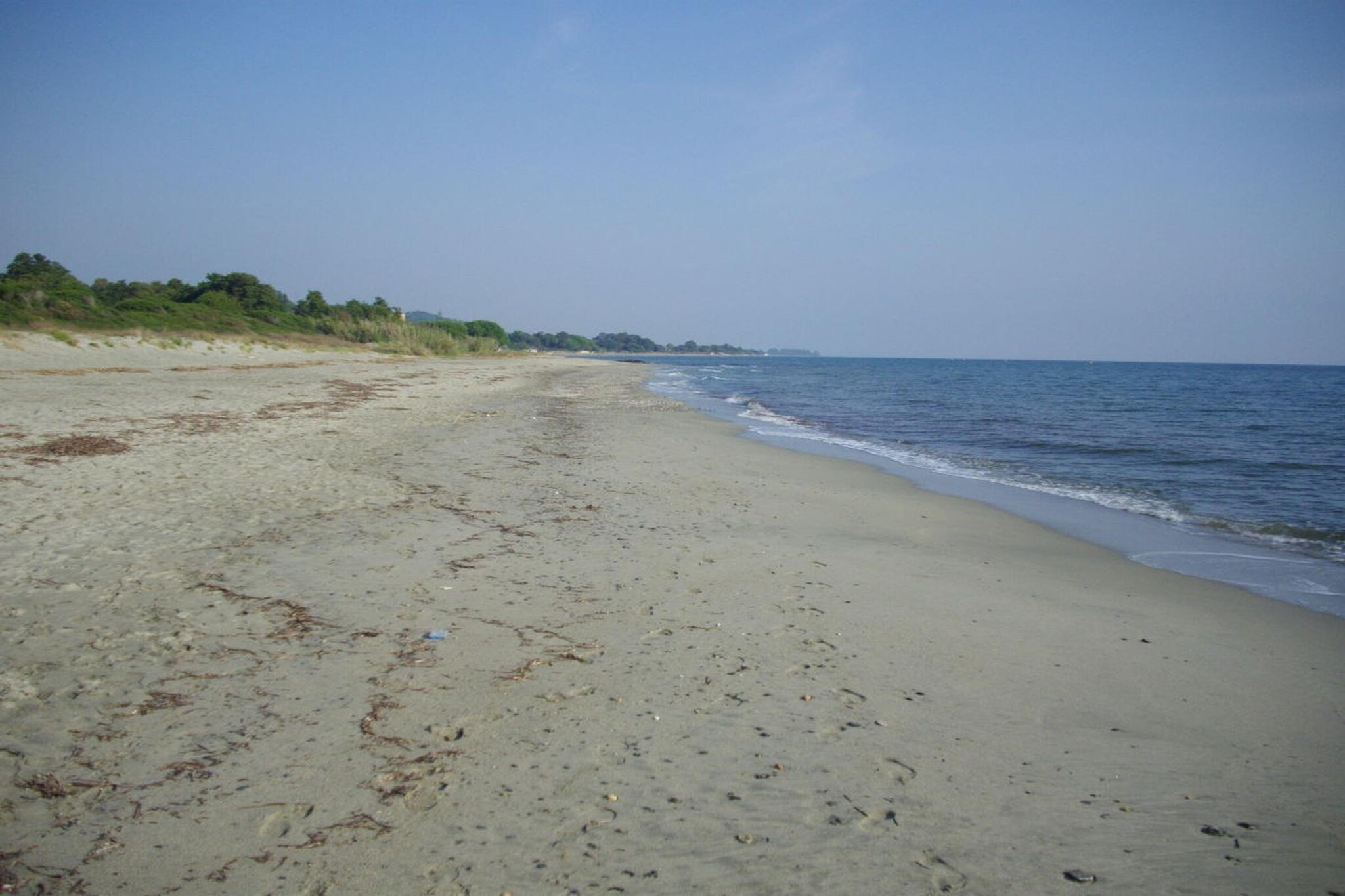 25599 - Gebieden zomer 5km