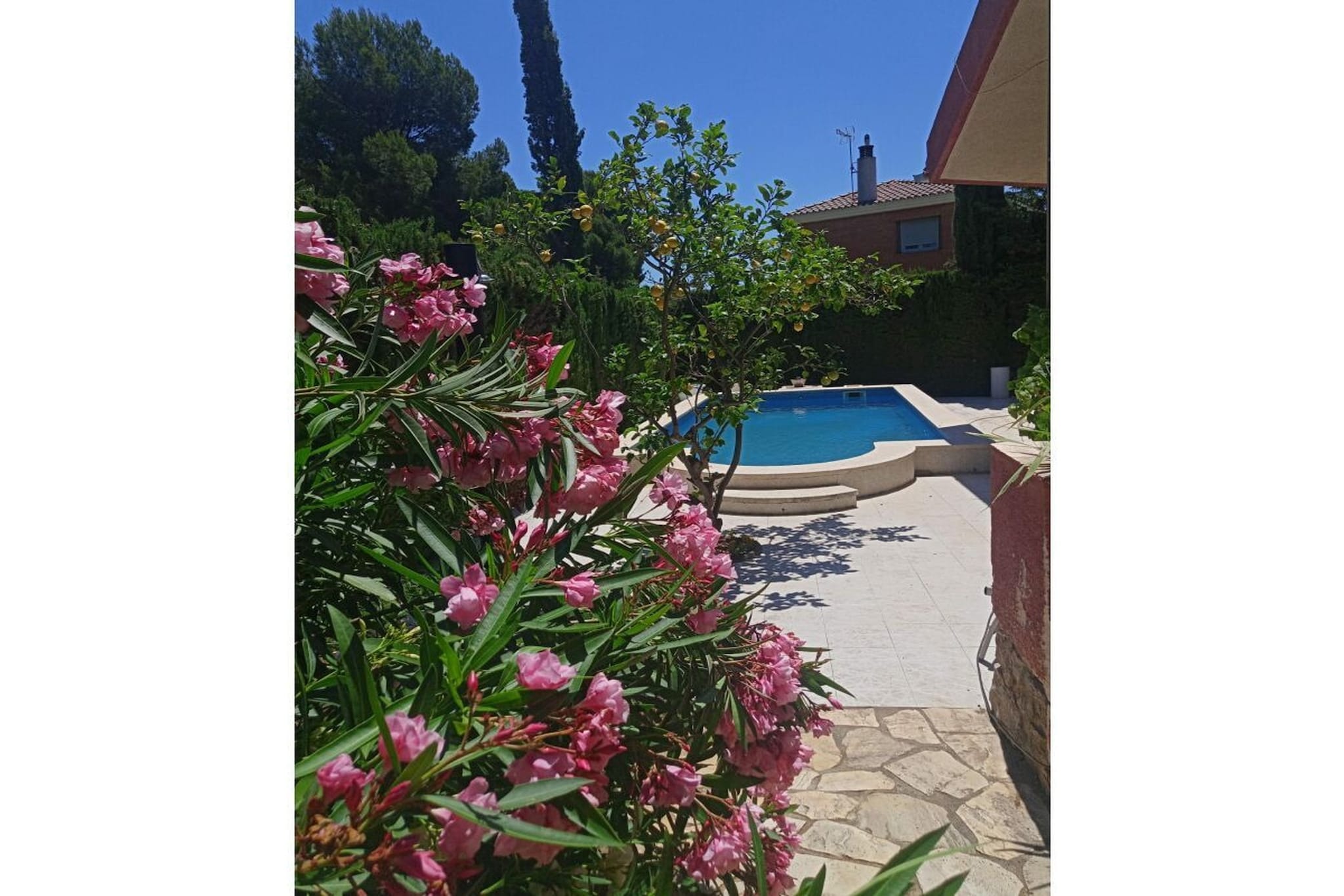 50006 - Swimming pool