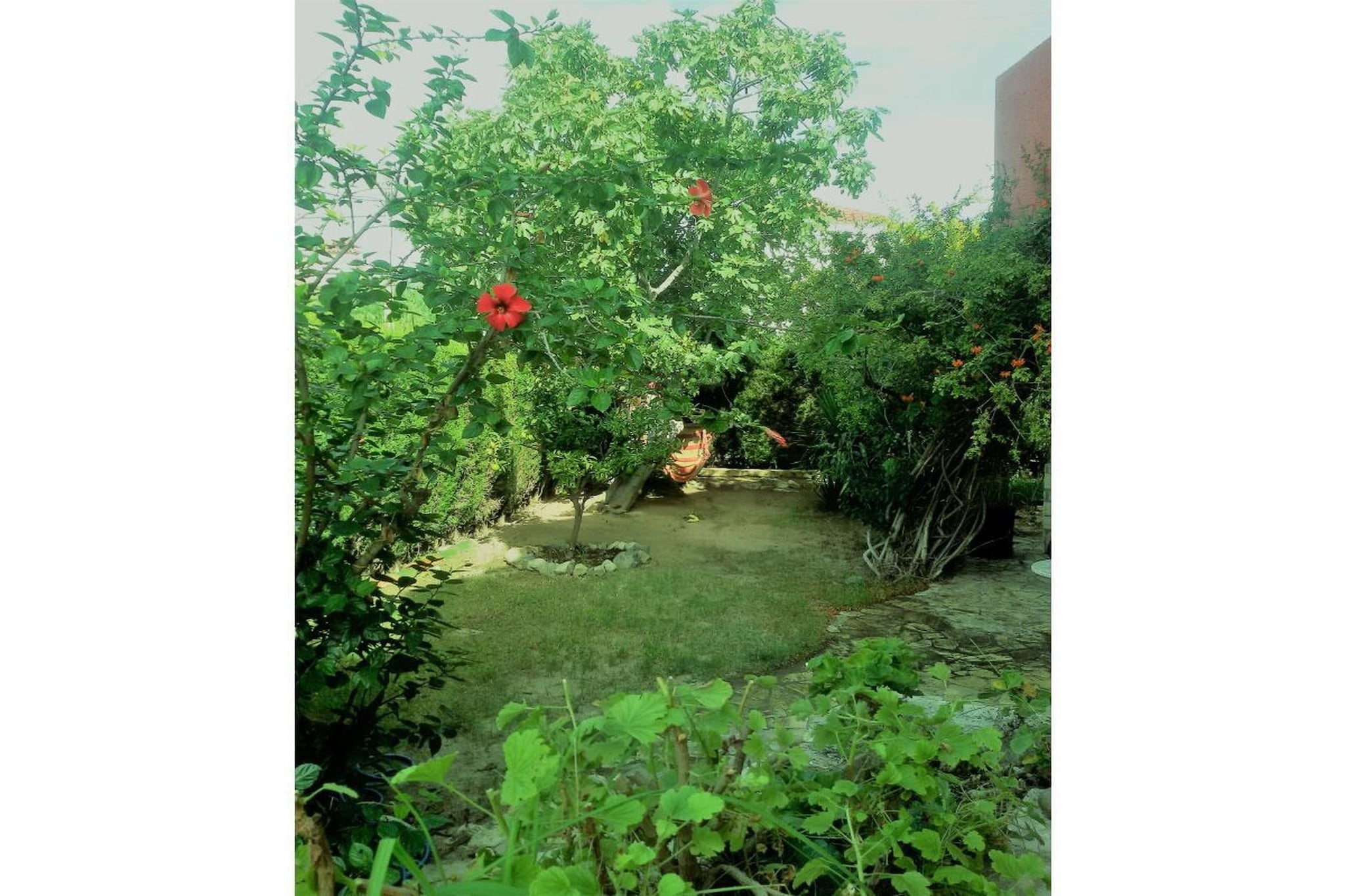 50006 - Gardens in summer