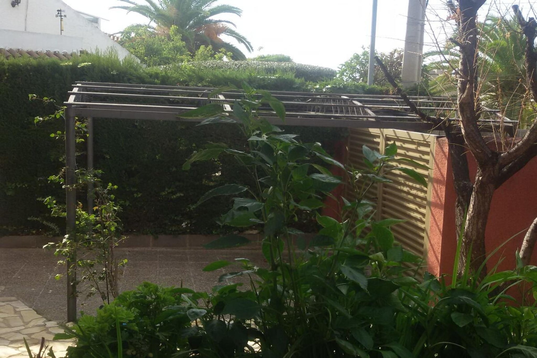 50006 - Gardens in summer