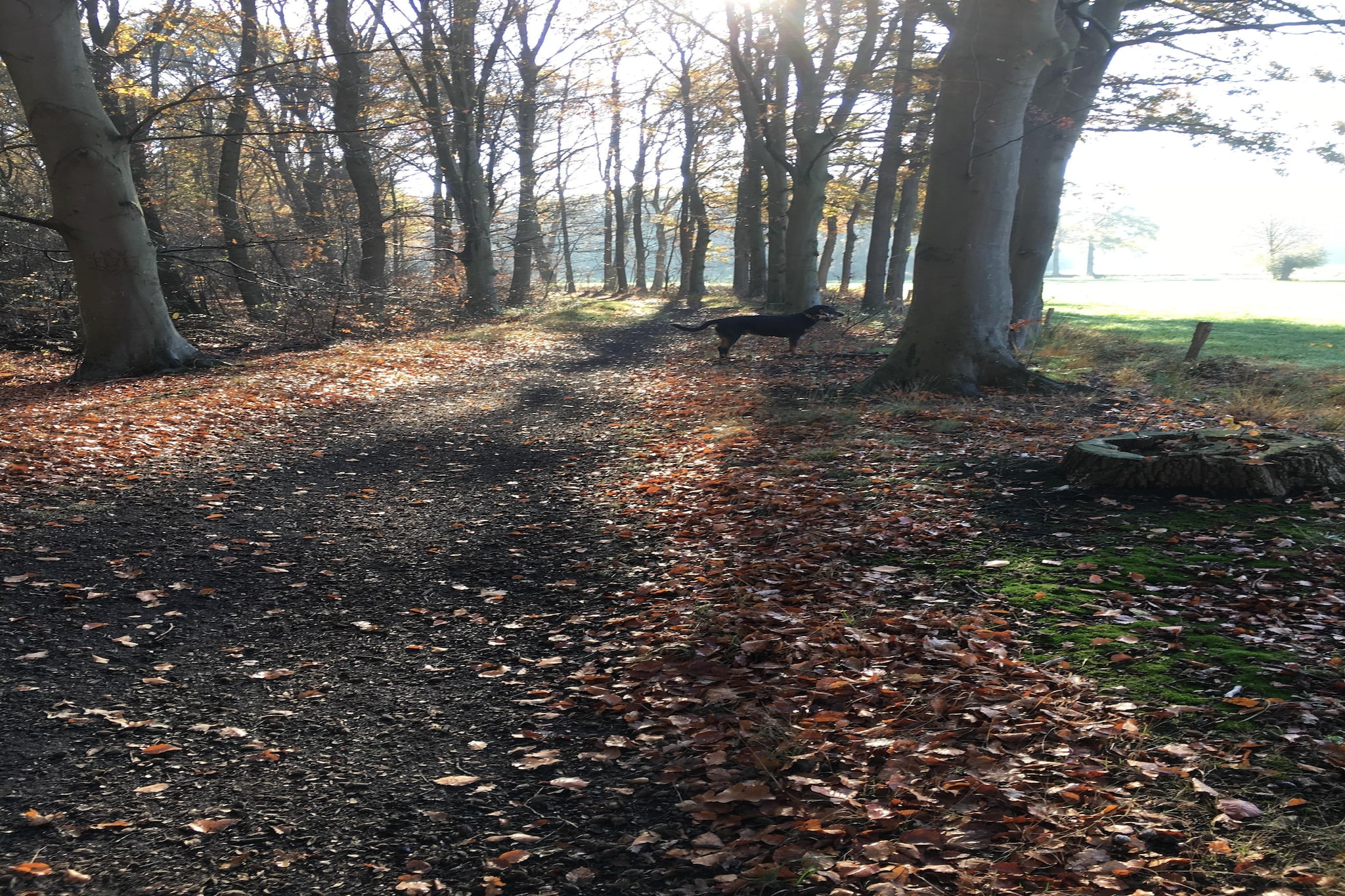 De Hagmolenbeek Boekelo - Gebied winter 1km