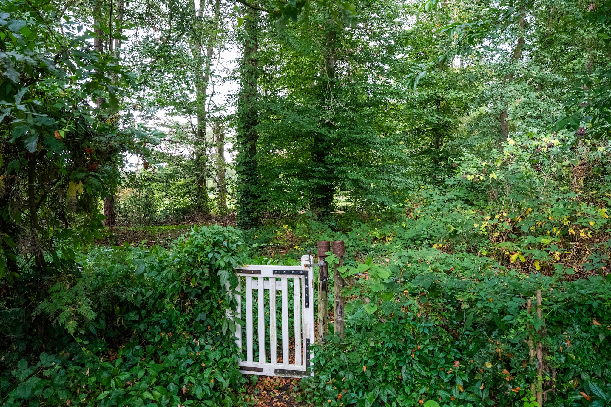 De Hagmolenbeek Boekelo - Jardins en été