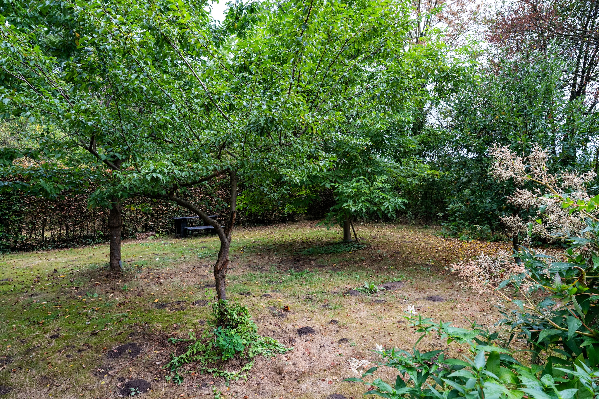 De Hagmolenbeek Boekelo - Jardins en été
