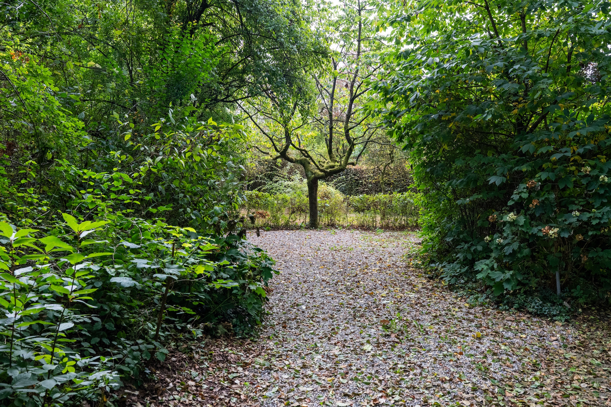 De Hagmolenbeek Boekelo - Jardins en été