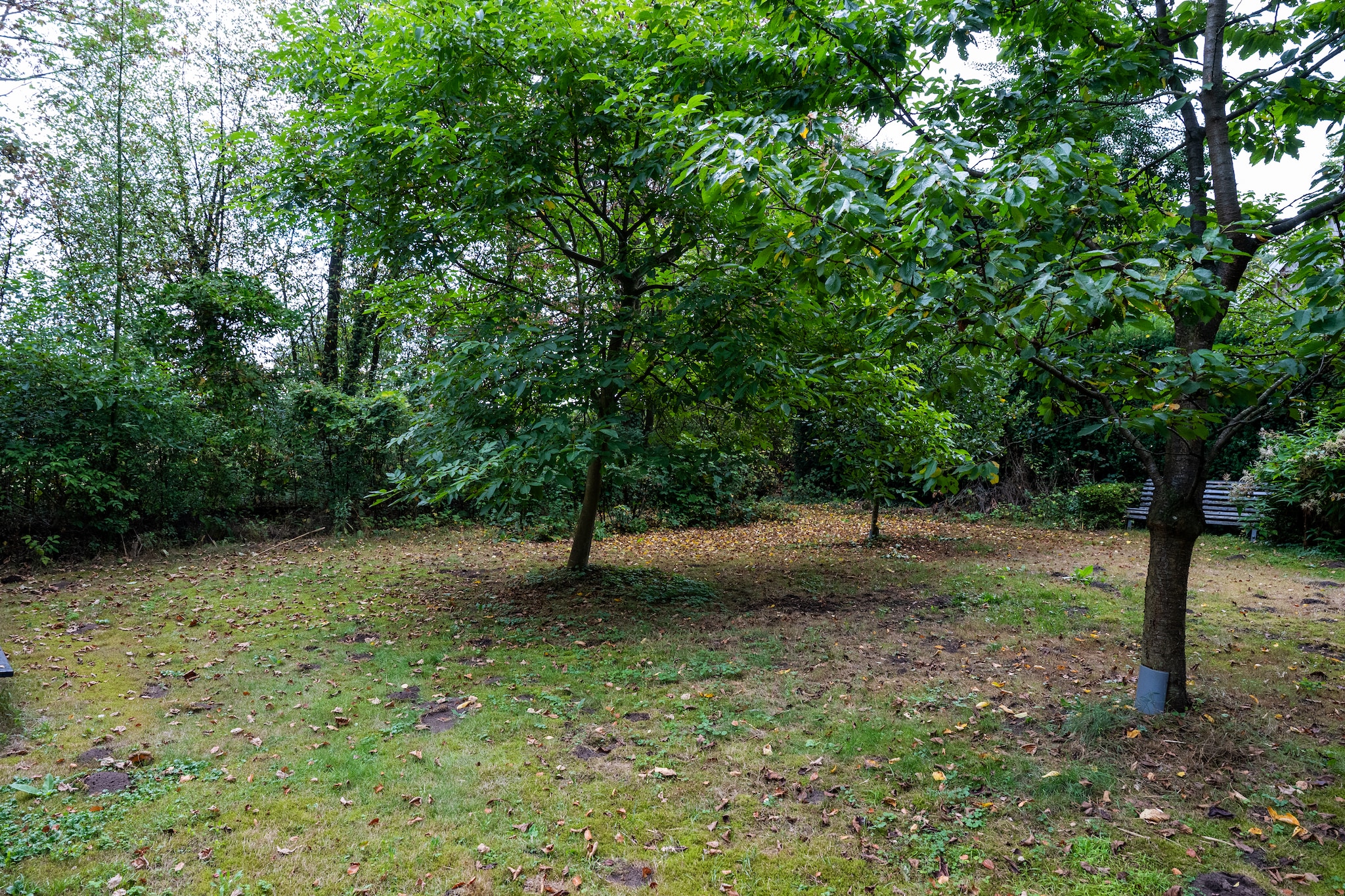 De Hagmolenbeek Boekelo - Jardins en été
