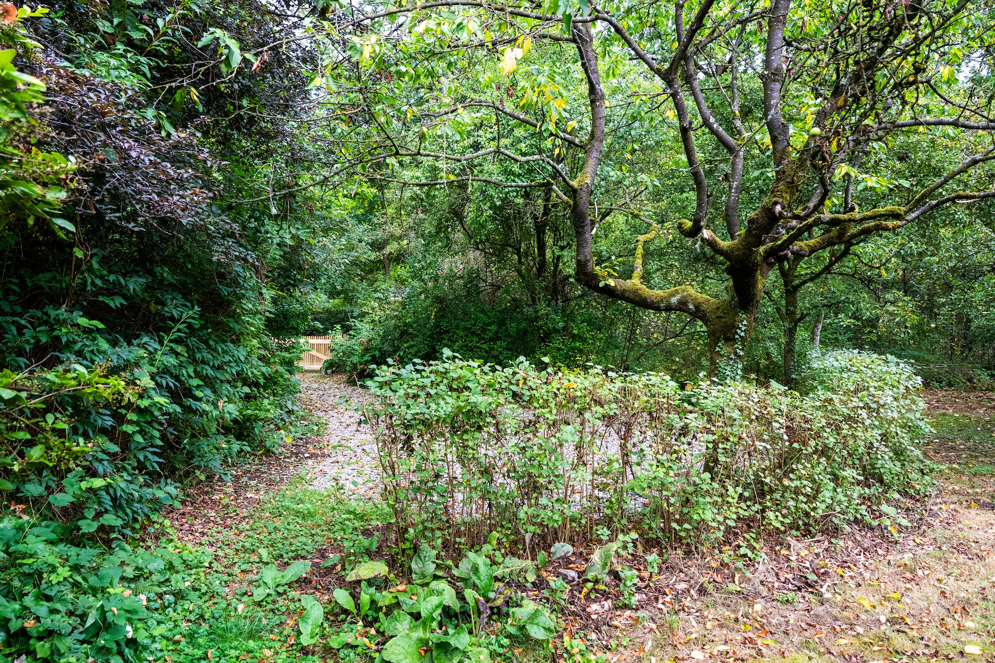 De Hagmolenbeek Boekelo - Jardins en été