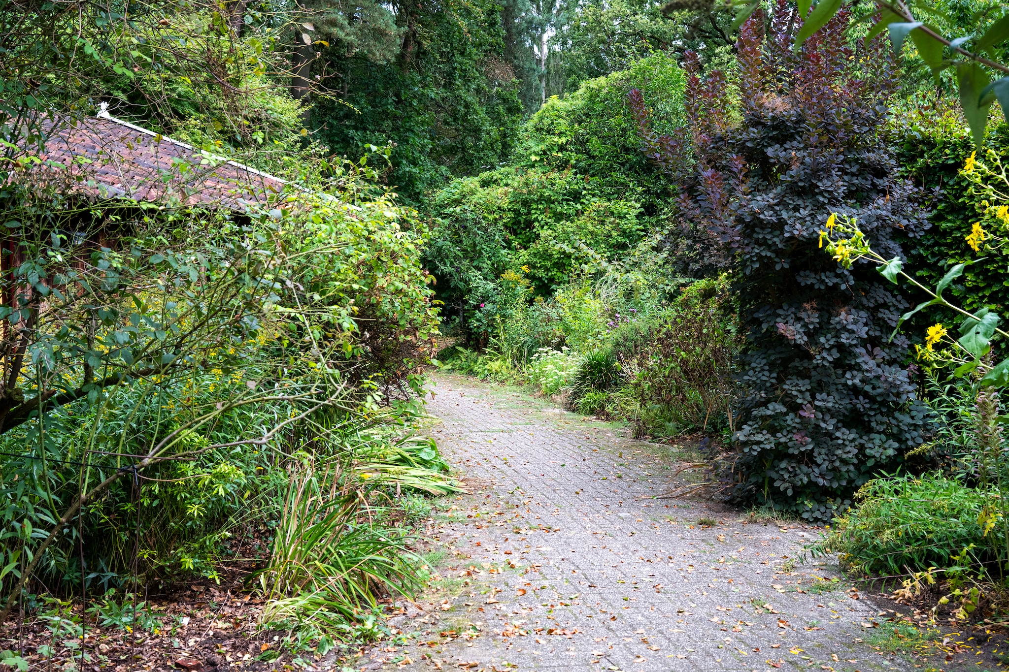 De Hagmolenbeek Boekelo - Jardins en été