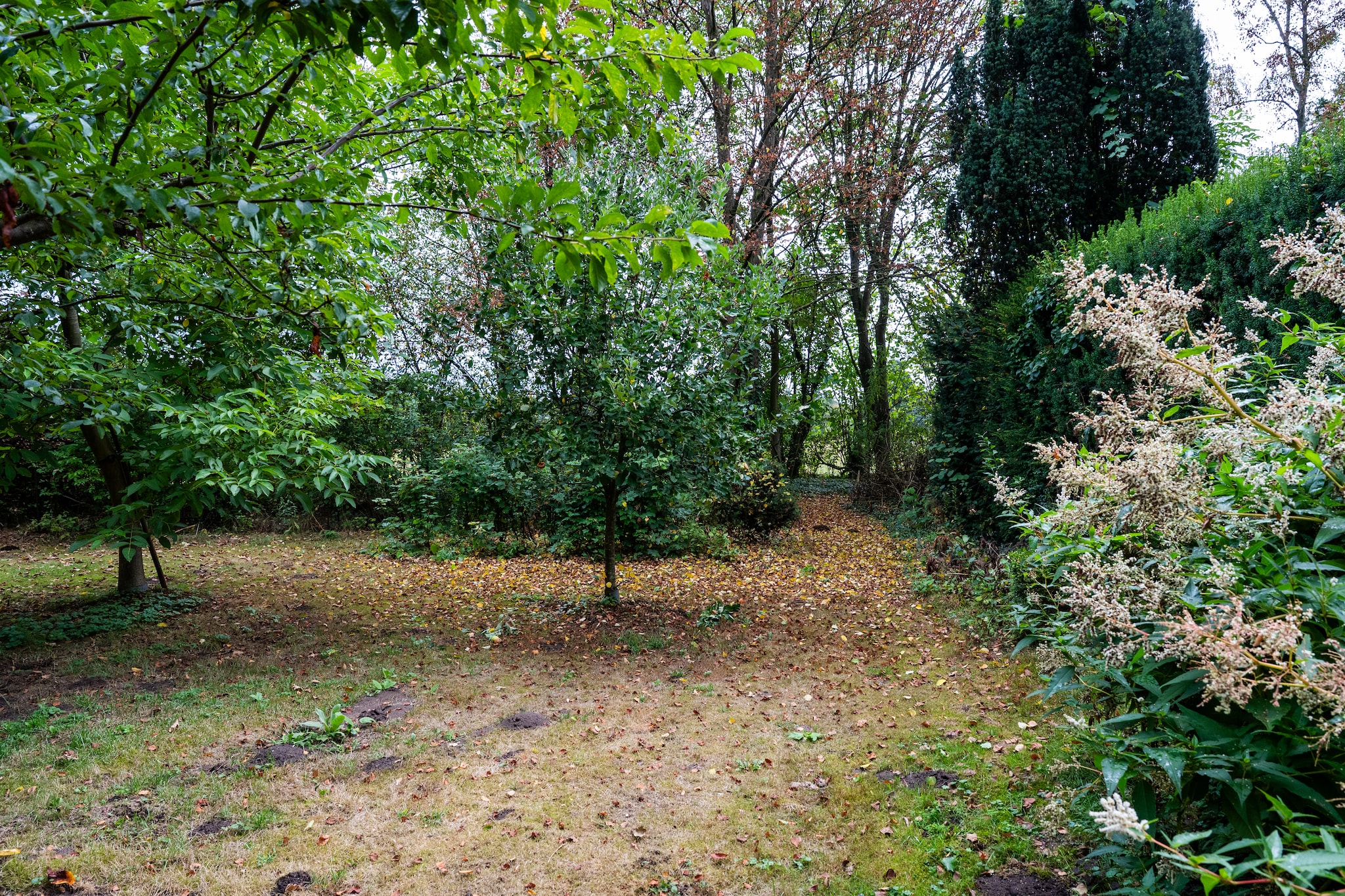 De Hagmolenbeek Boekelo - Jardins en été