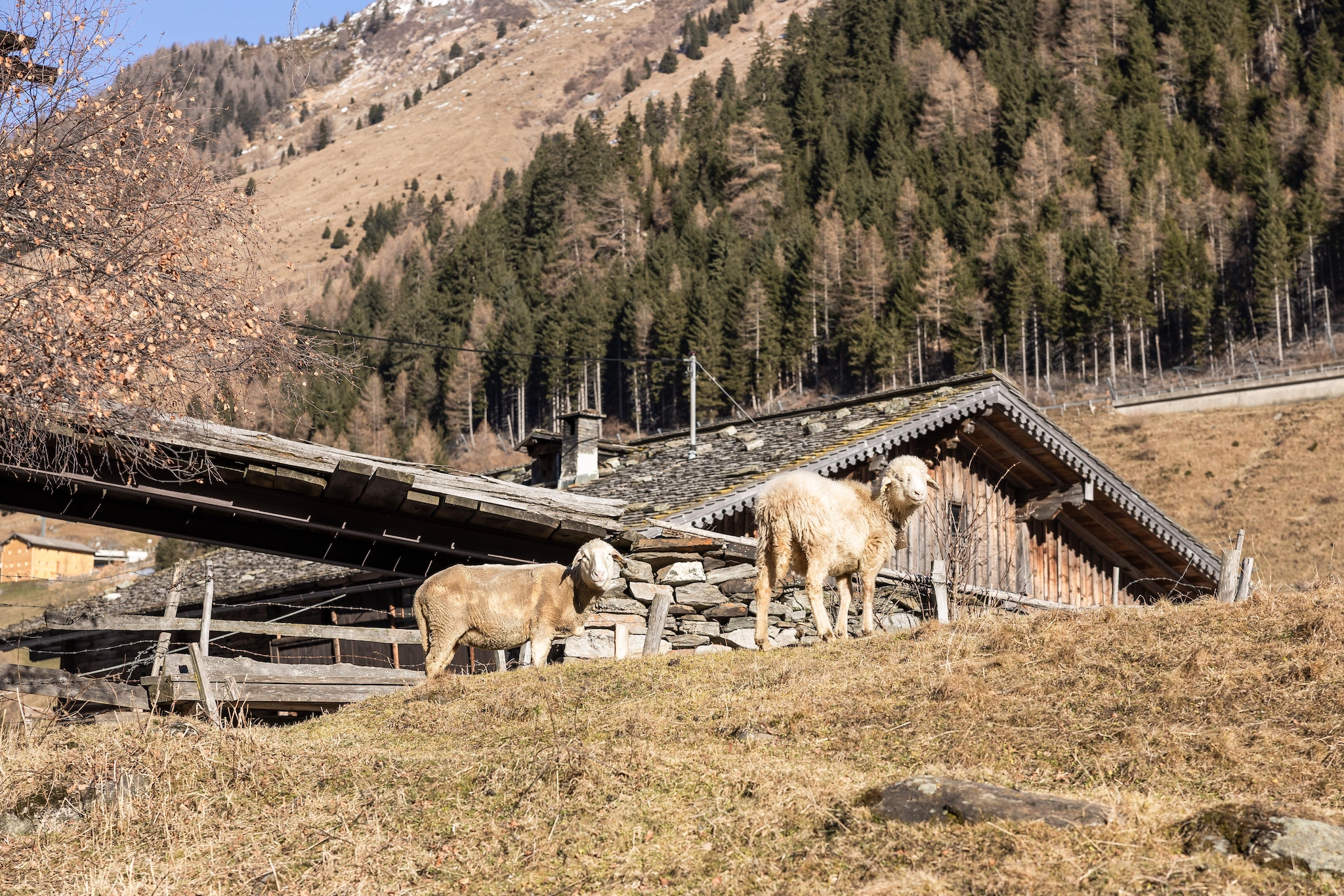 Chalet Raneburg 4