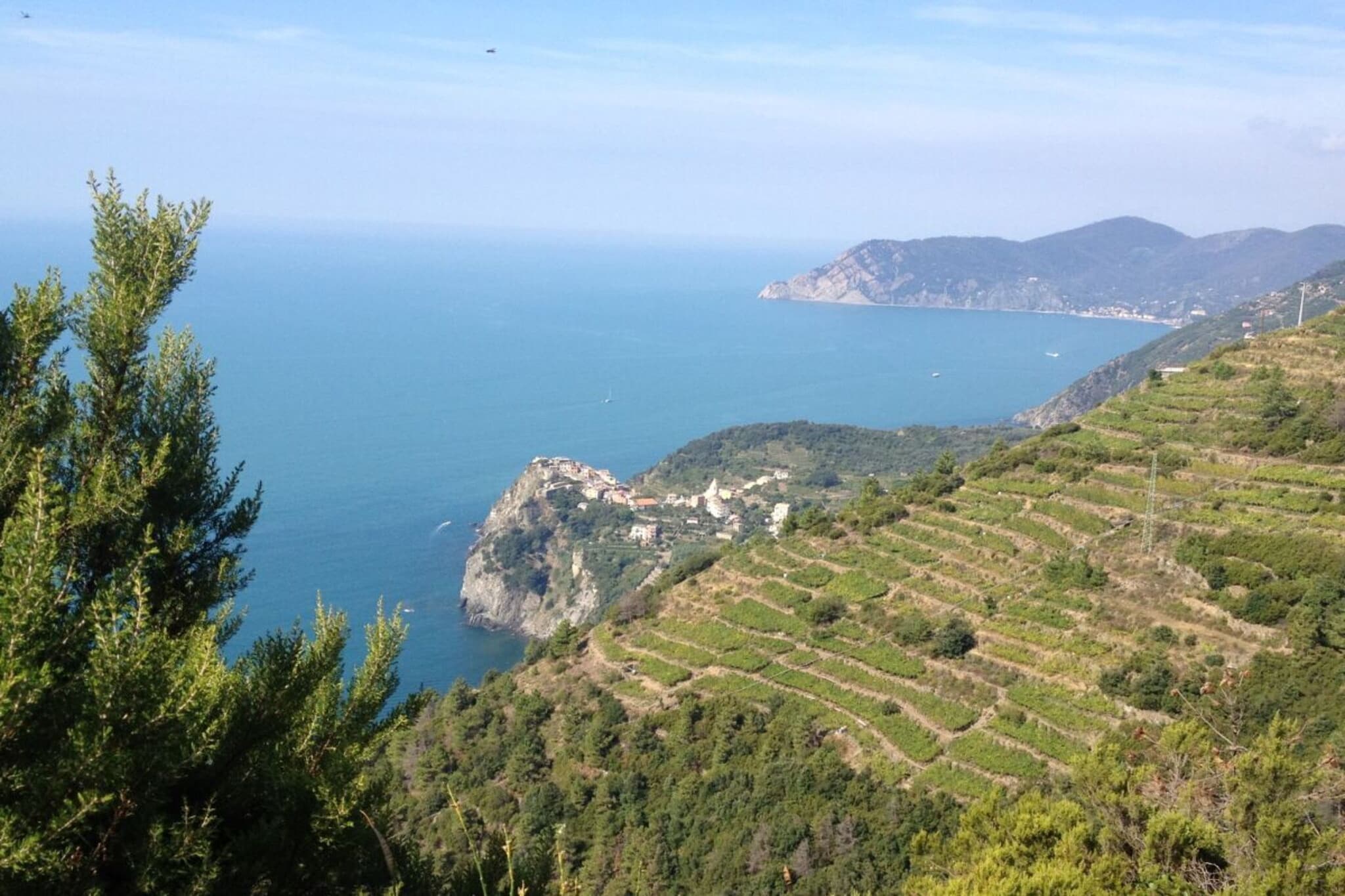 285115 - Vue d'été