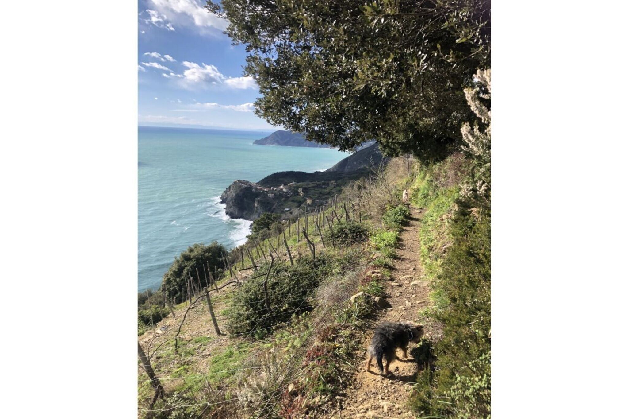 285115 - Vue d'été