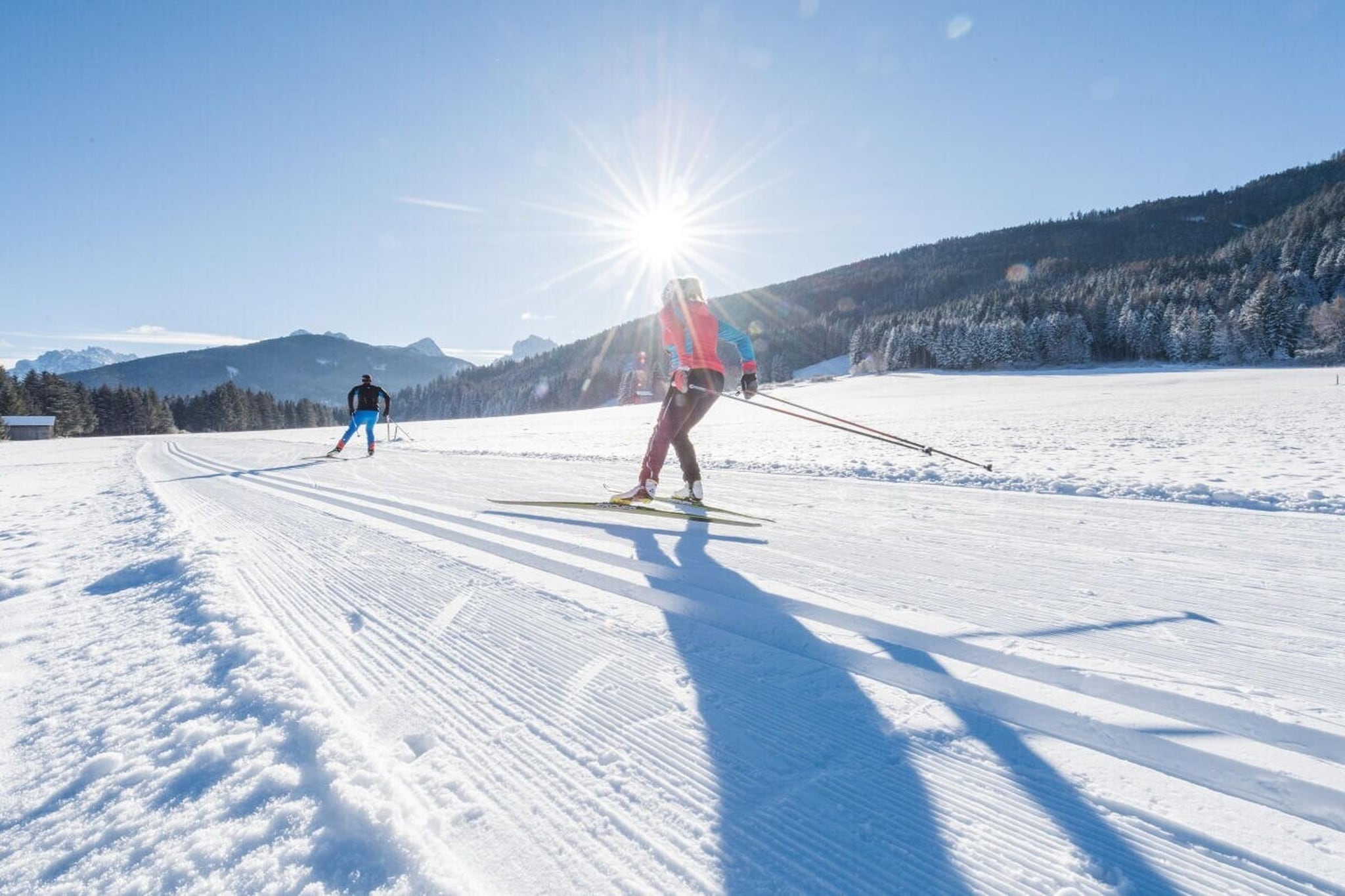264577 - Gebied winter 5km