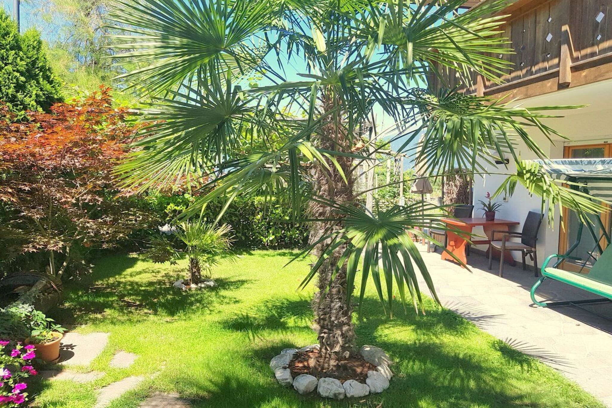 52213 - Garten Sommer