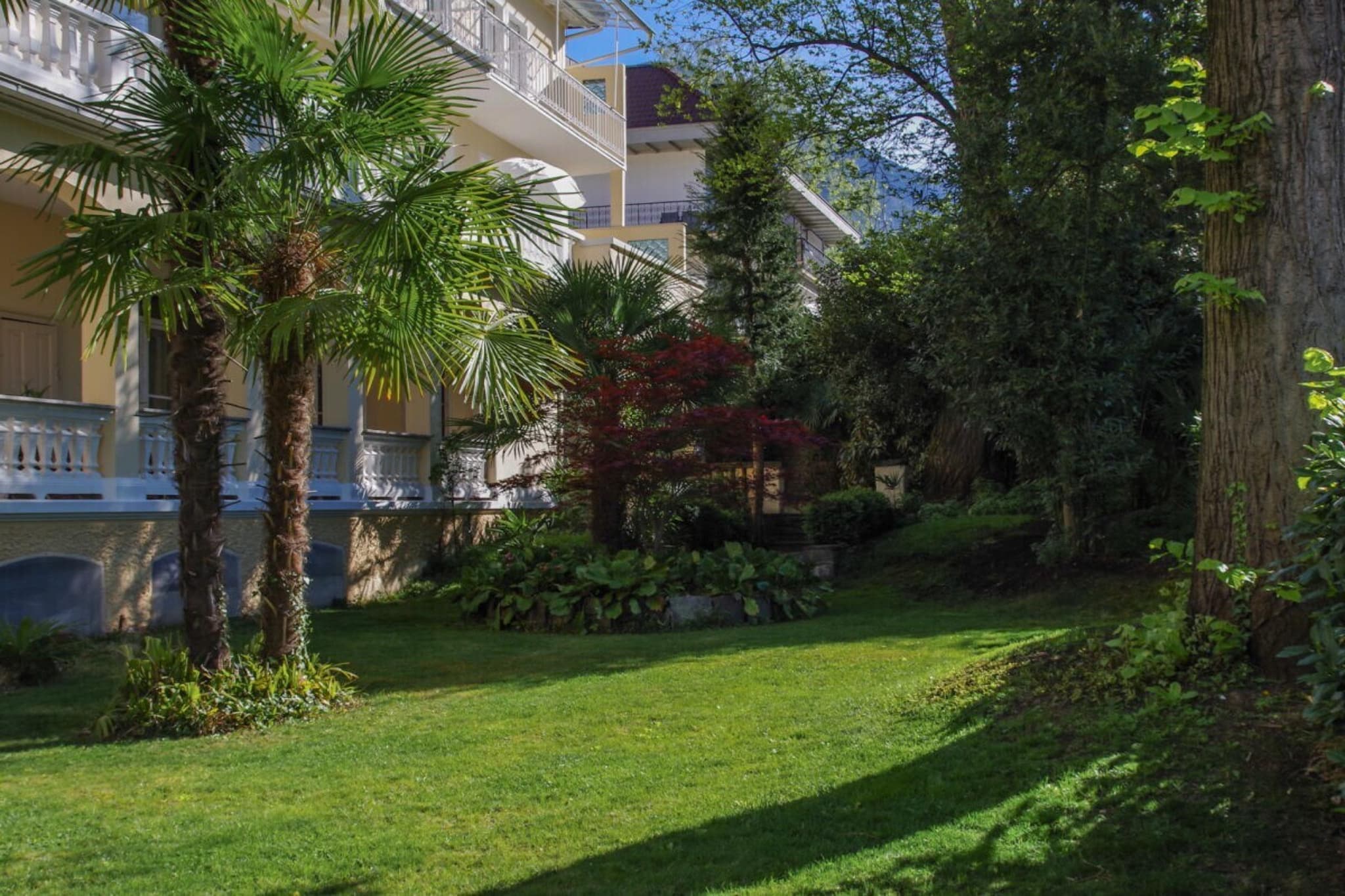 48975 - Gardens in summer