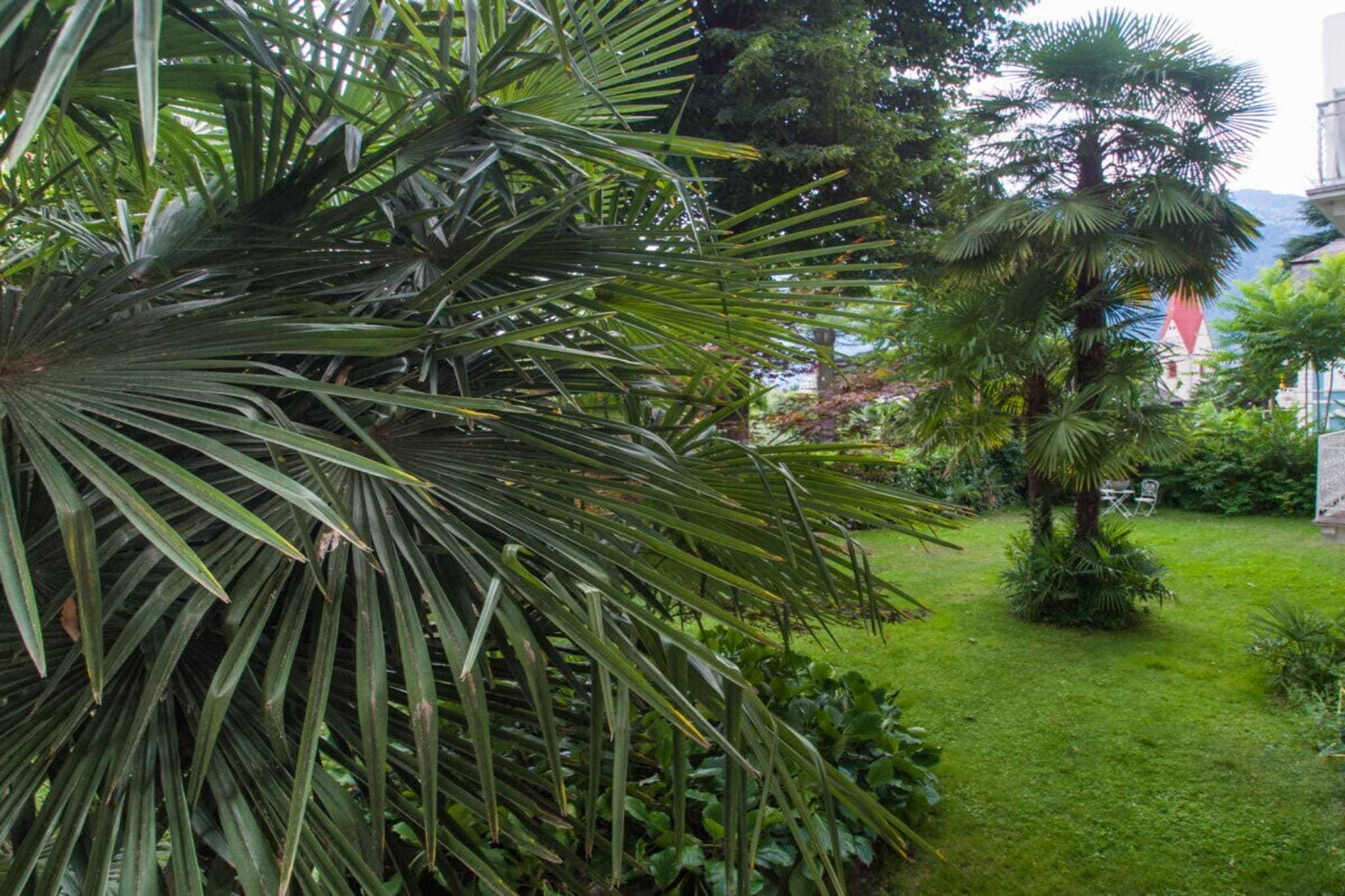 48975 - Gardens in summer