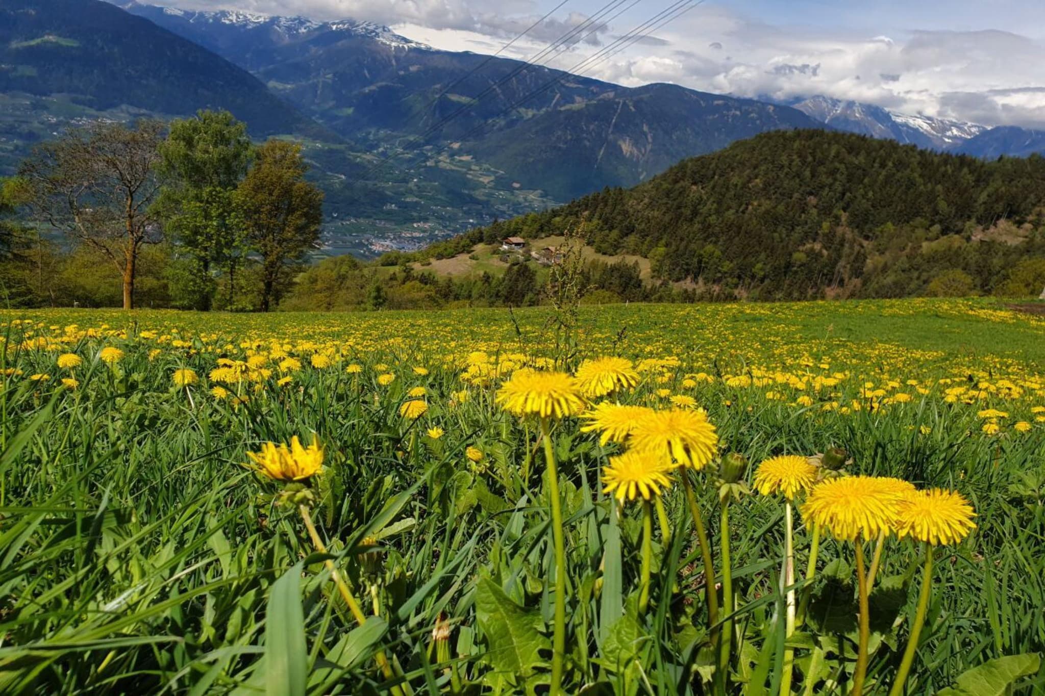 48975 - Areas within 5km in summer