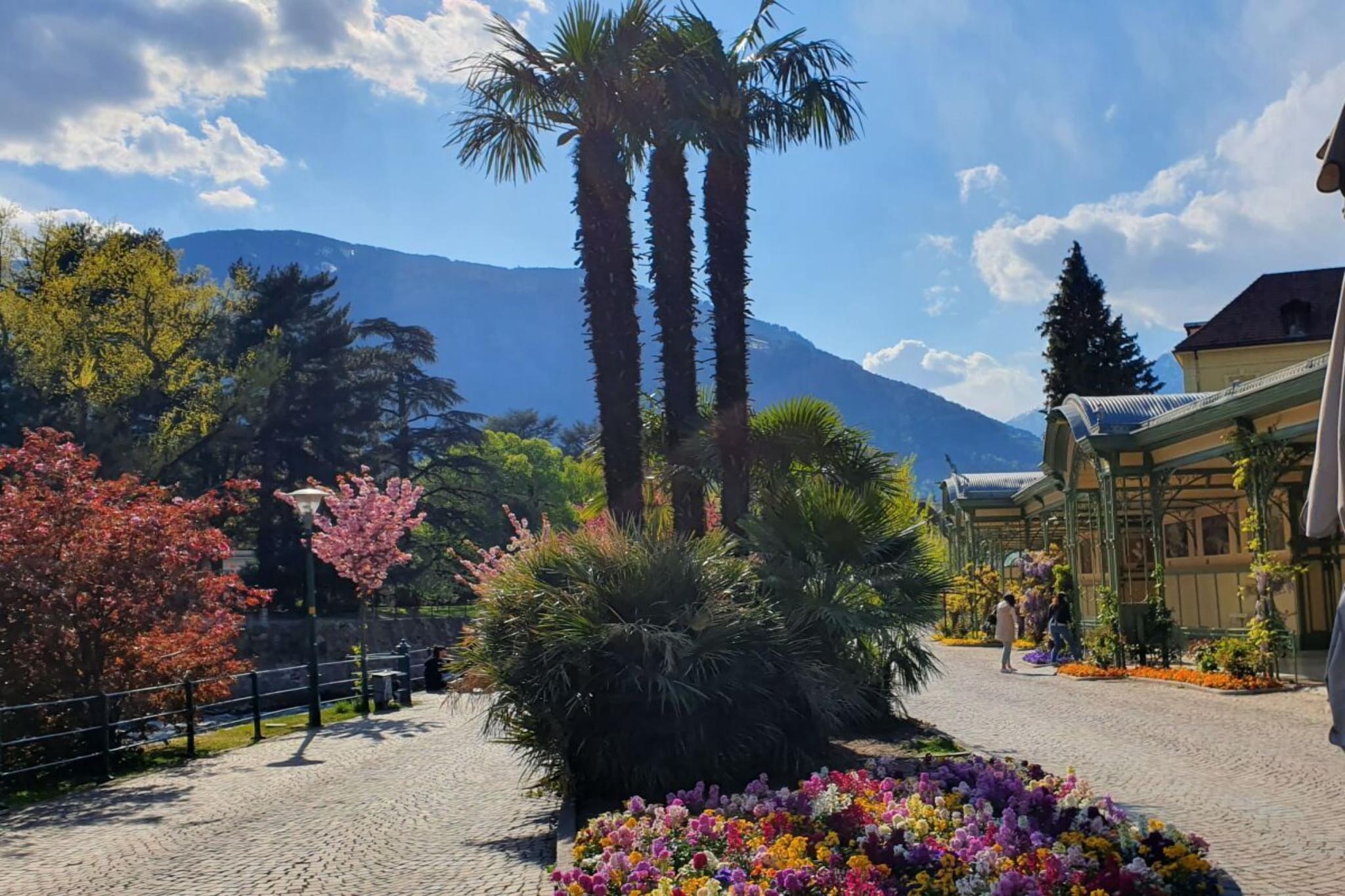 48975 - Areas within 5km in summer