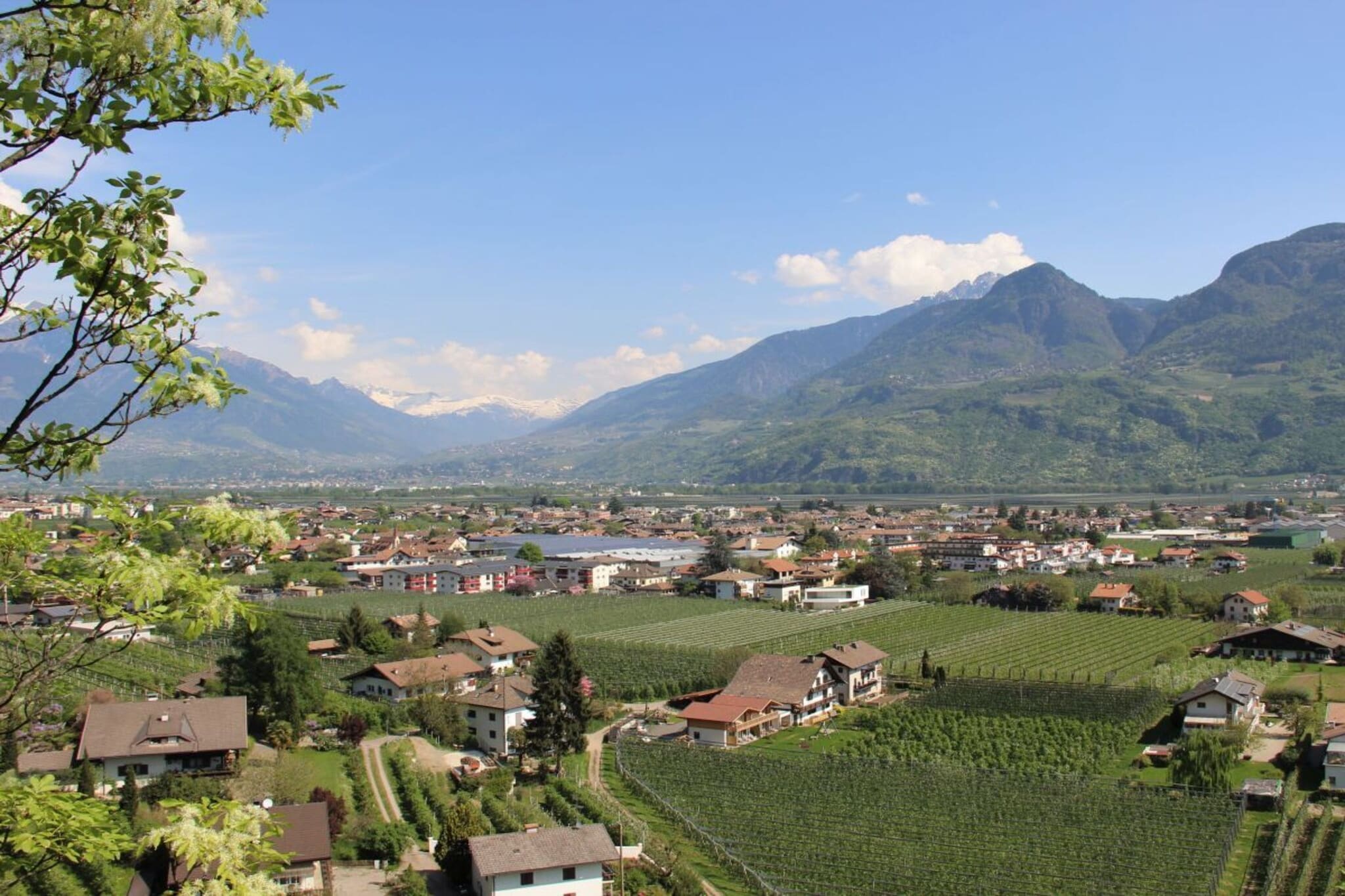 243198 - Aussicht Sommer