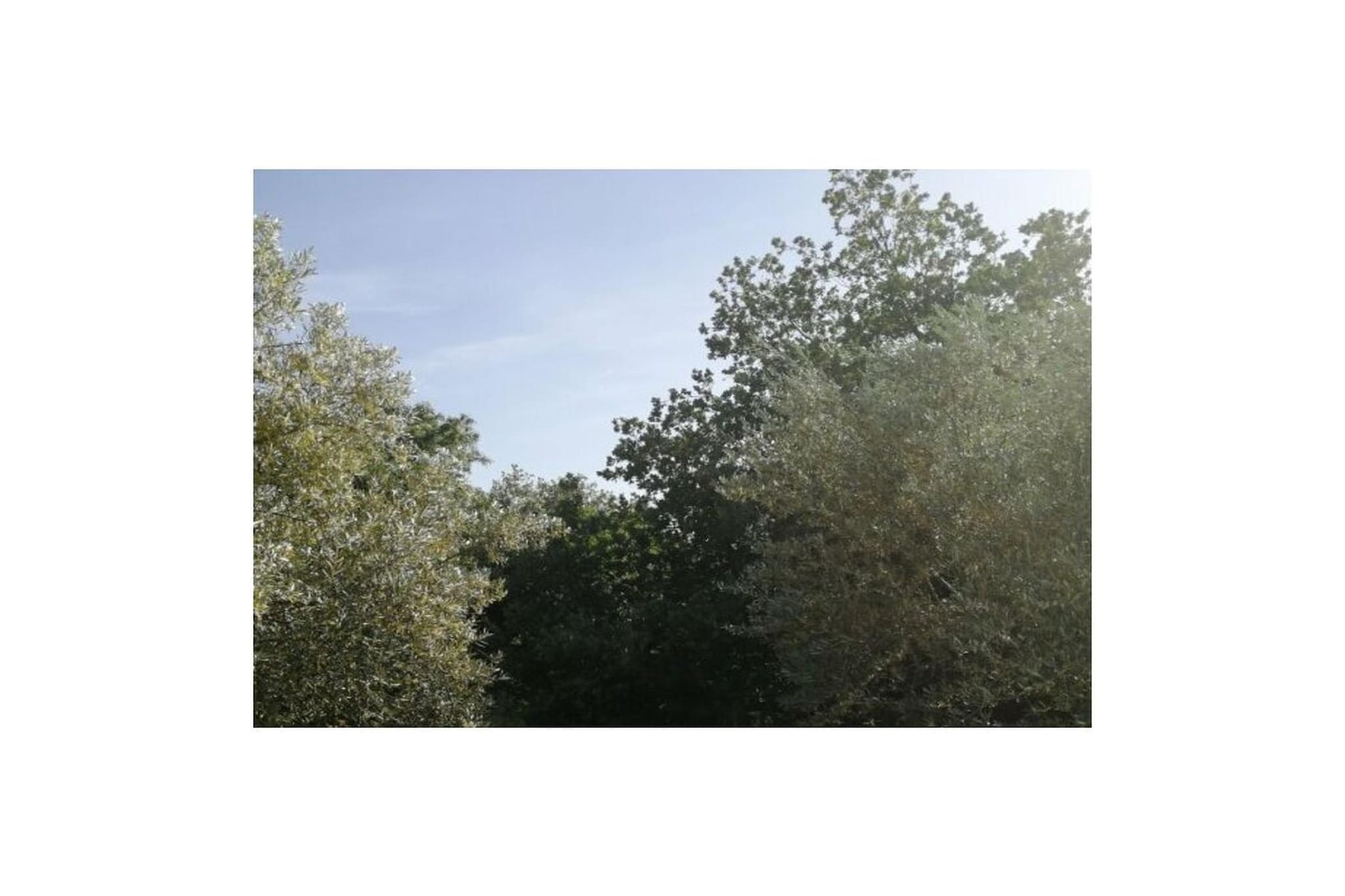 743419 - Tuinen zomer