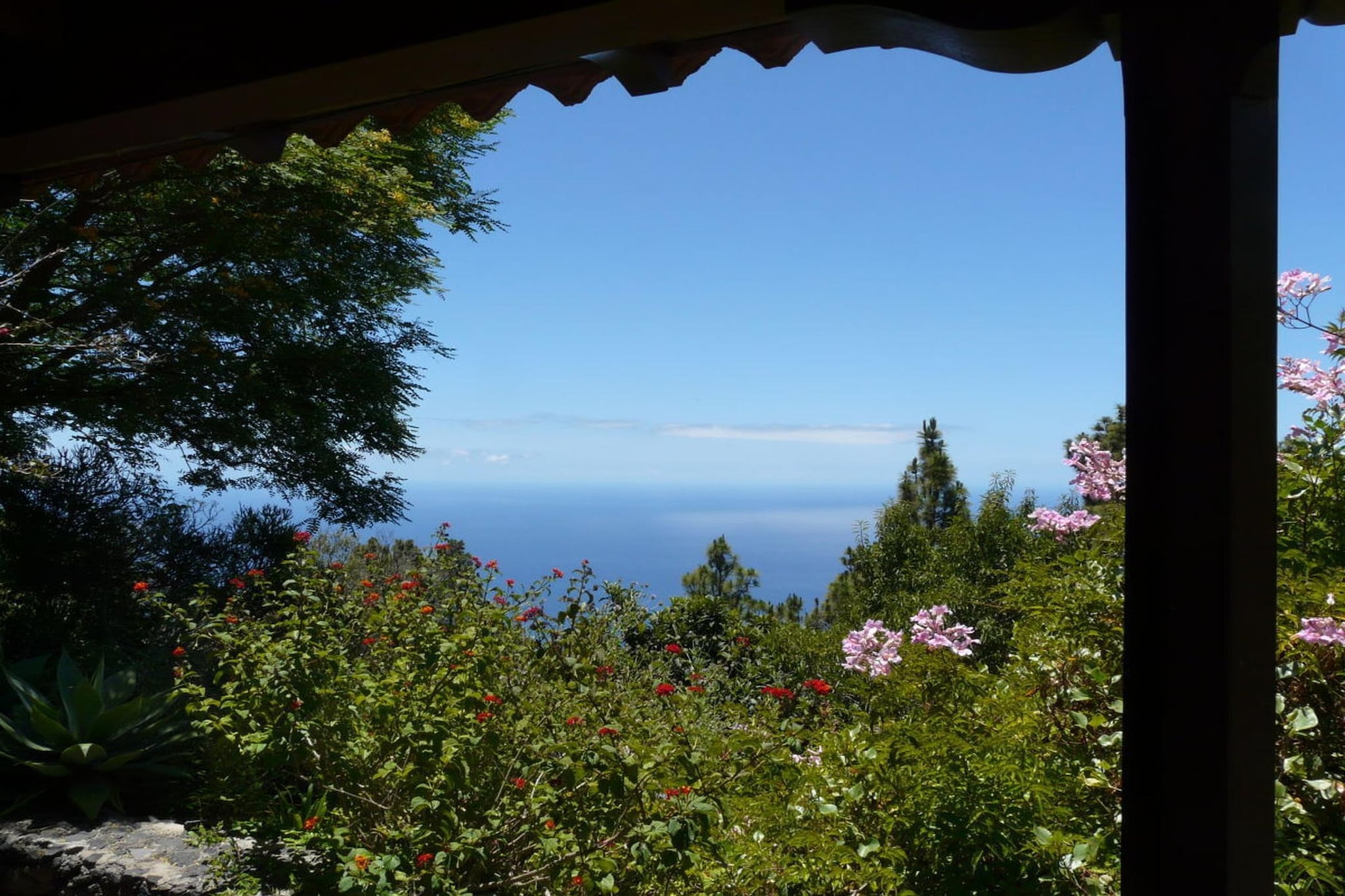 200411 - Aussicht Sommer