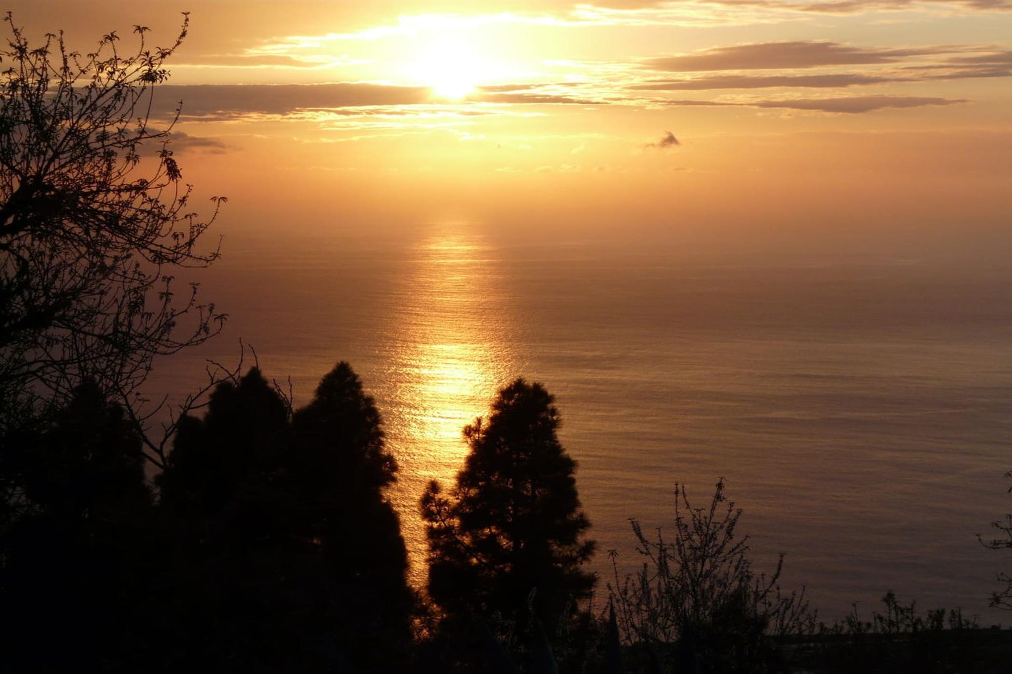 200411 - Aussicht Sommer
