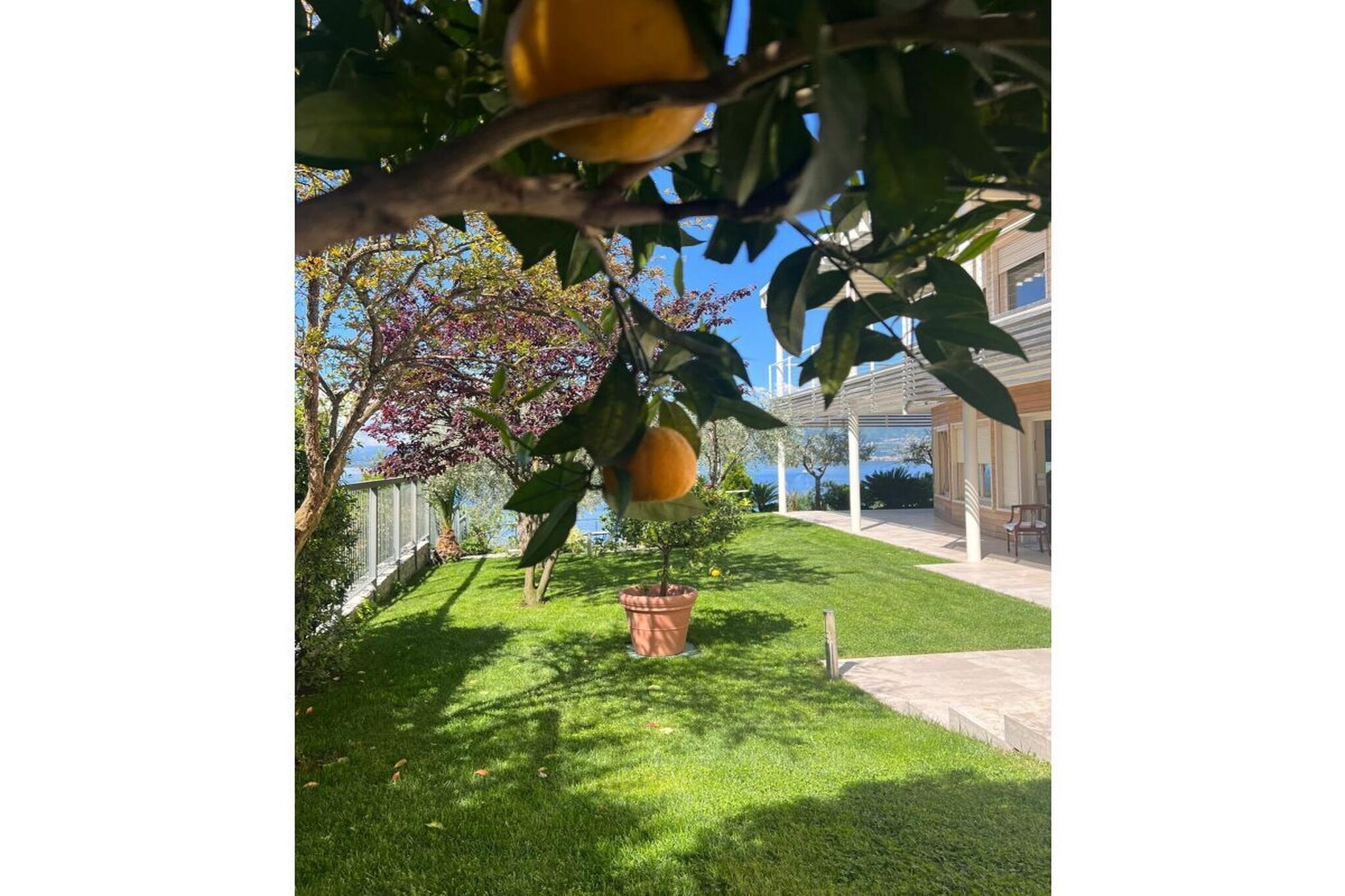 168963 - Gardens in summer