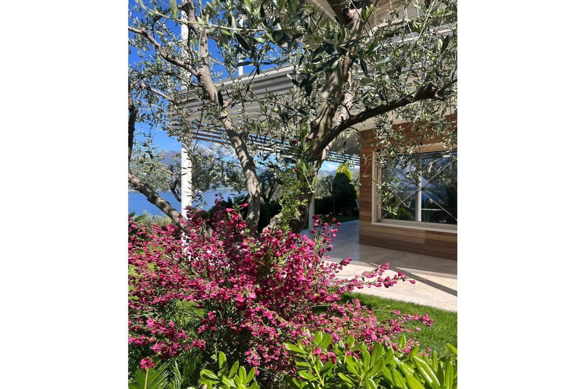 168963 - Gardens in summer