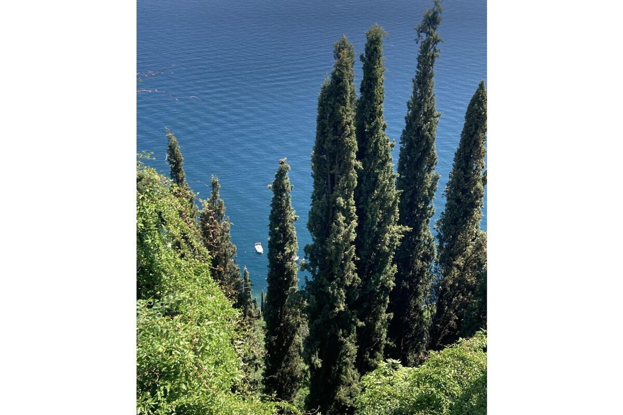 168963 - Gardens in summer