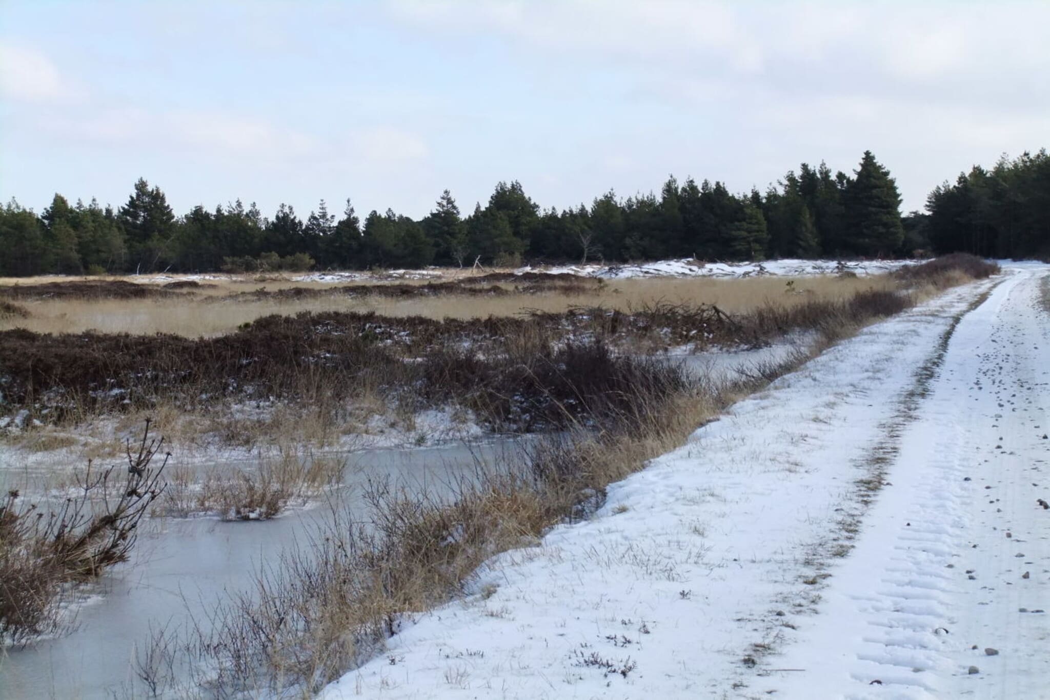 45459 - Gebied winter 5km
