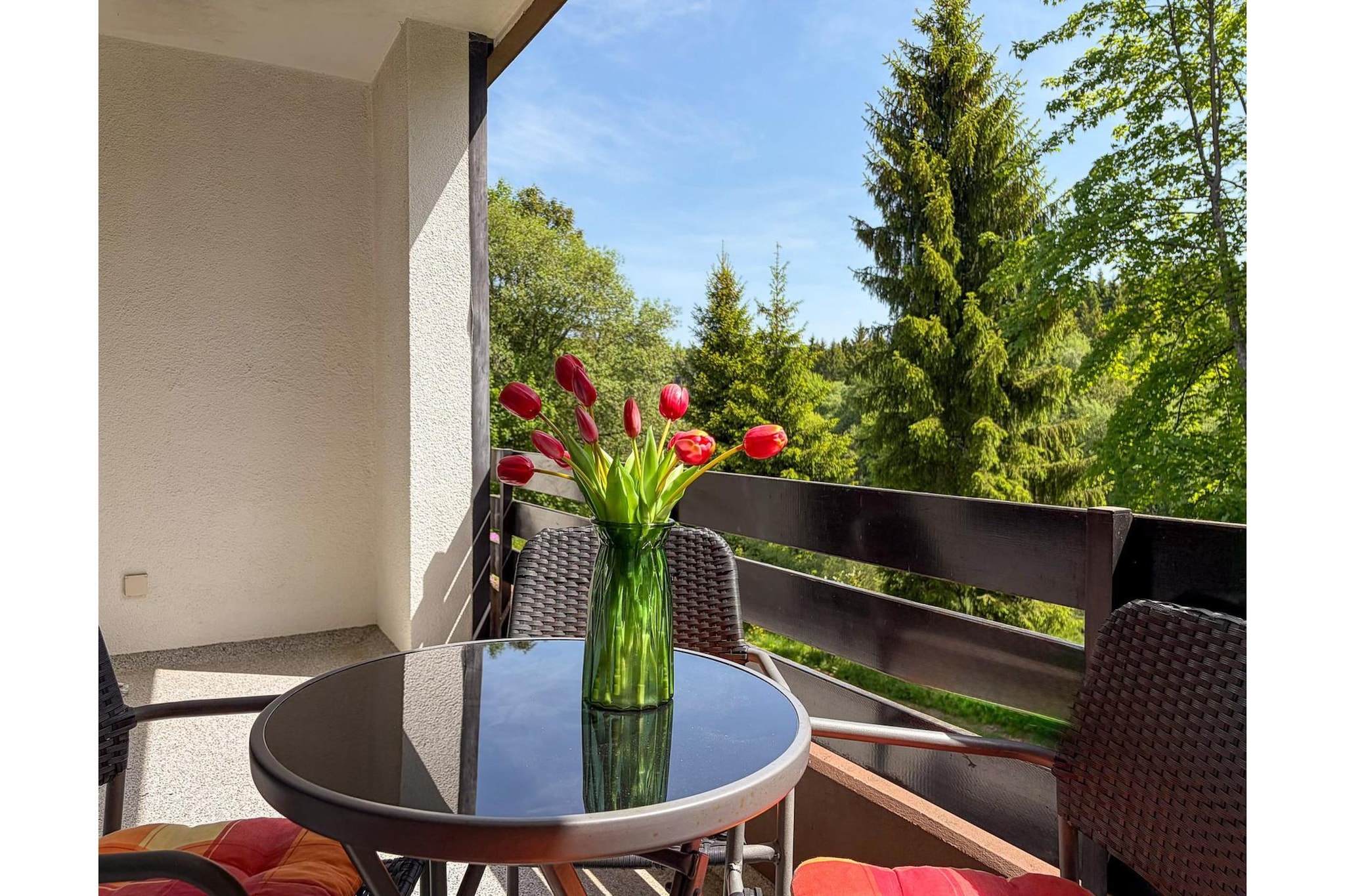 Apartment Bergzeit - Terrace balcony