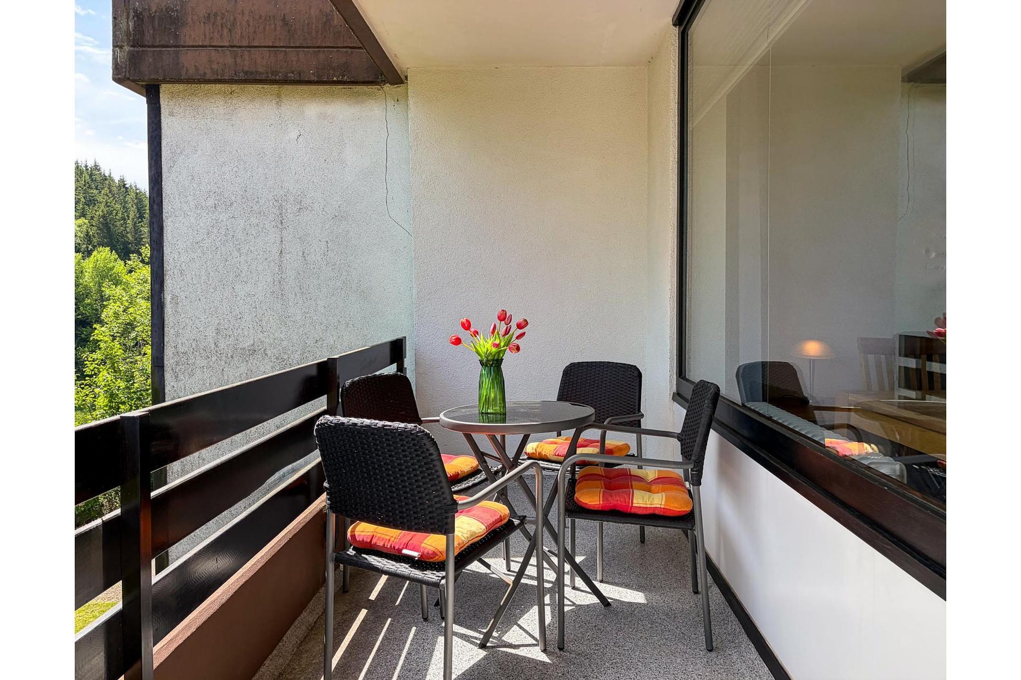 Apartment Bergzeit - Terrace balcony