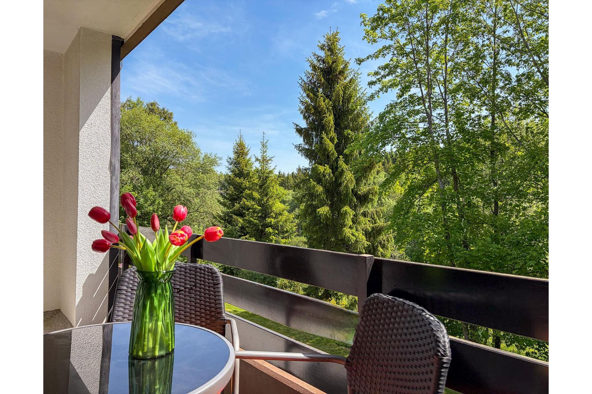 Apartment Bergzeit - Terrace balcony