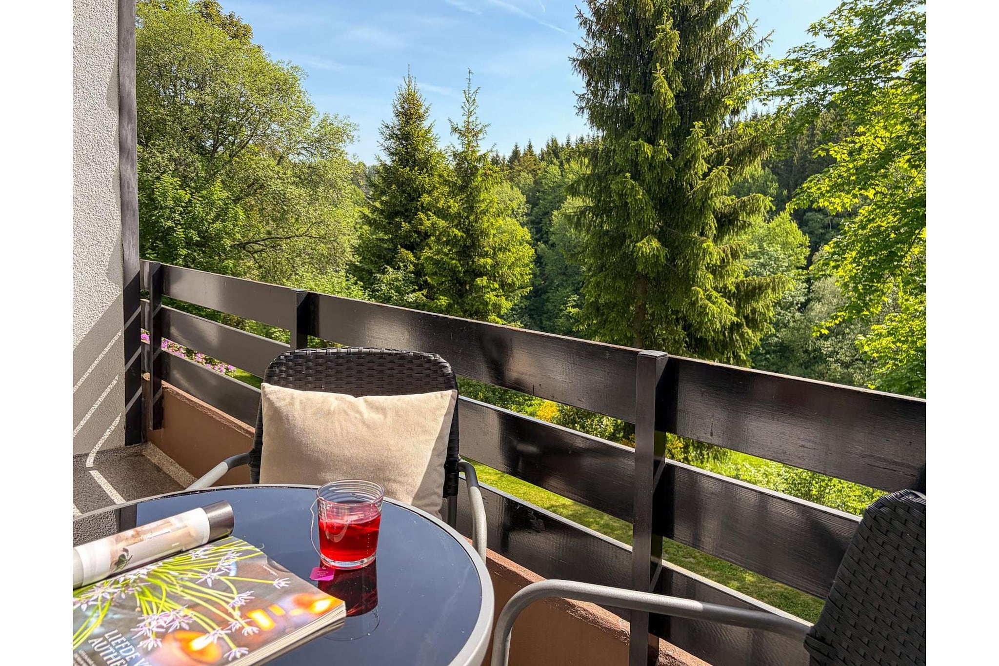 Apartment Freizeit - Terrace balcony