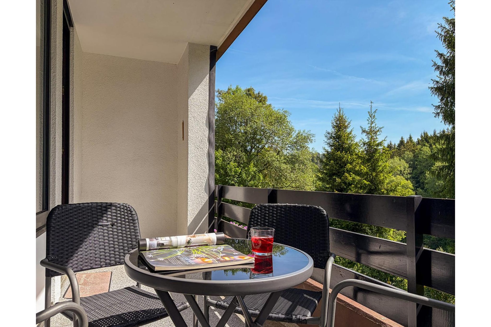 Apartment Freizeit - Terrace balcony