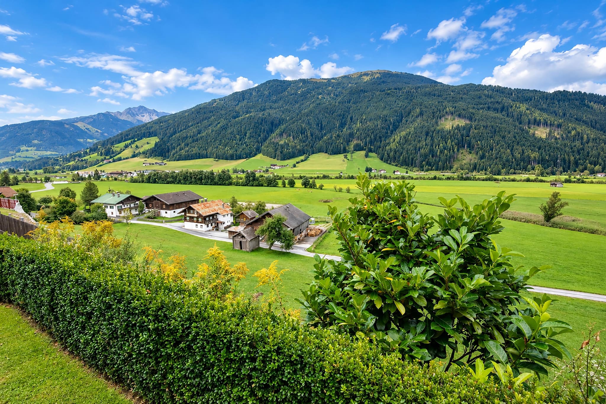 View Summer