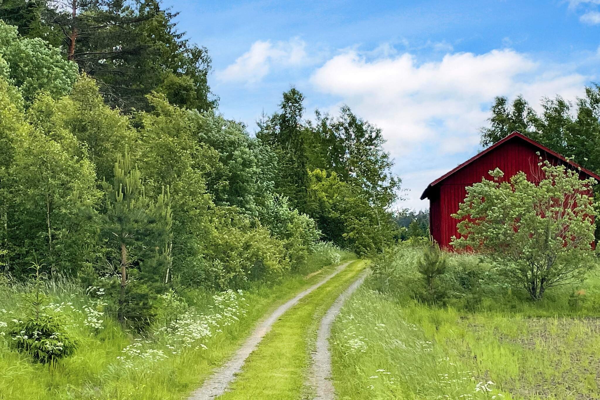 3 Personen vakantie huis in FJÄRDHUNDRA - Buitenlucht