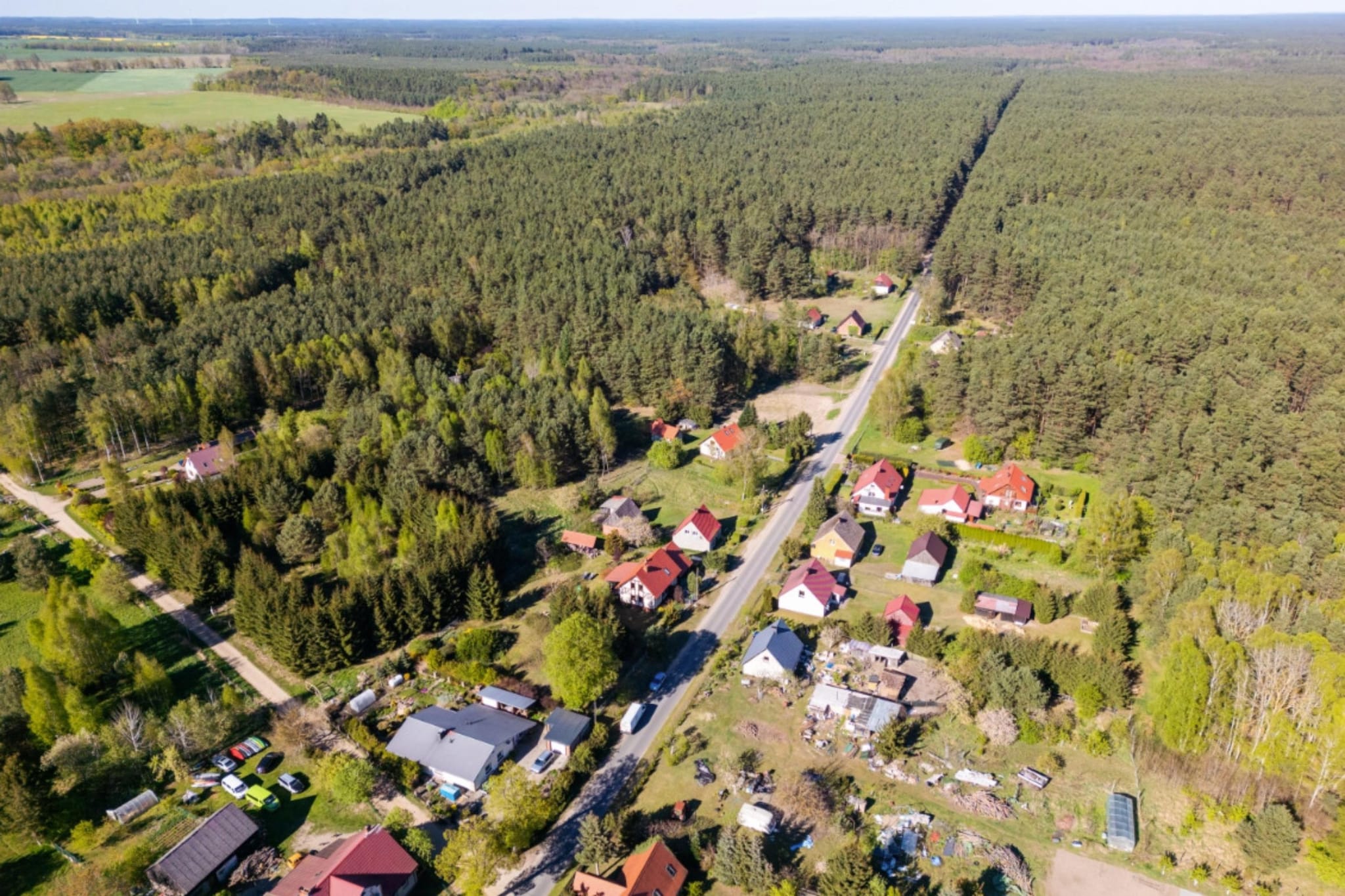 Dom wakacyjny w Drawieńskim Parku Narodowym - Areas within 1km in summer