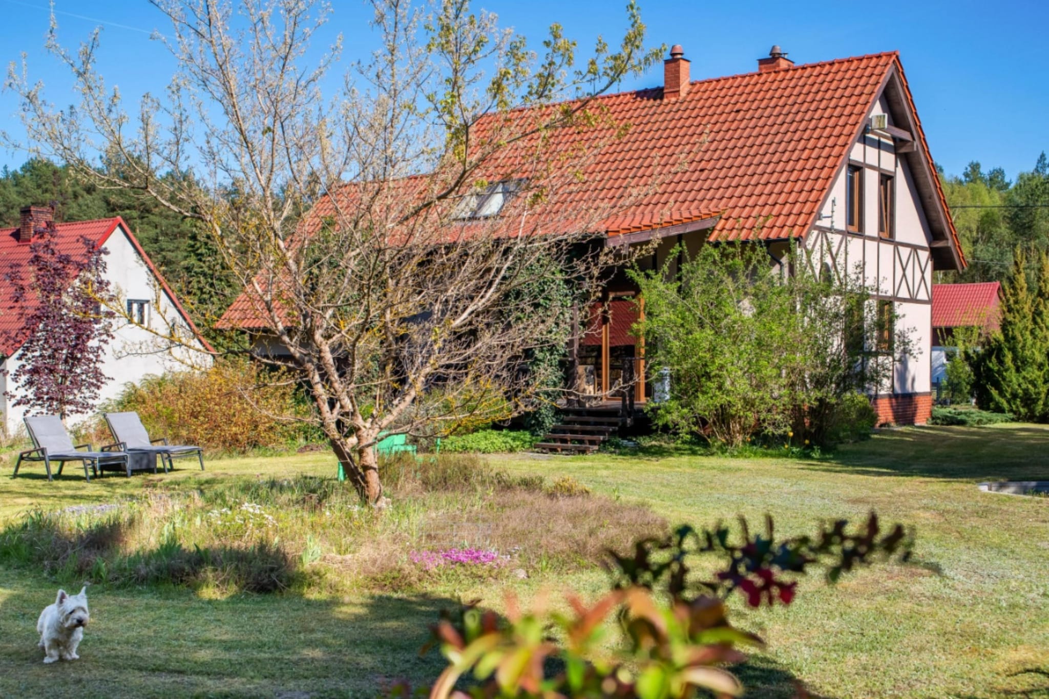 Dom wakacyjny w Drawieńskim Parku Narodowym - Exterior in summer