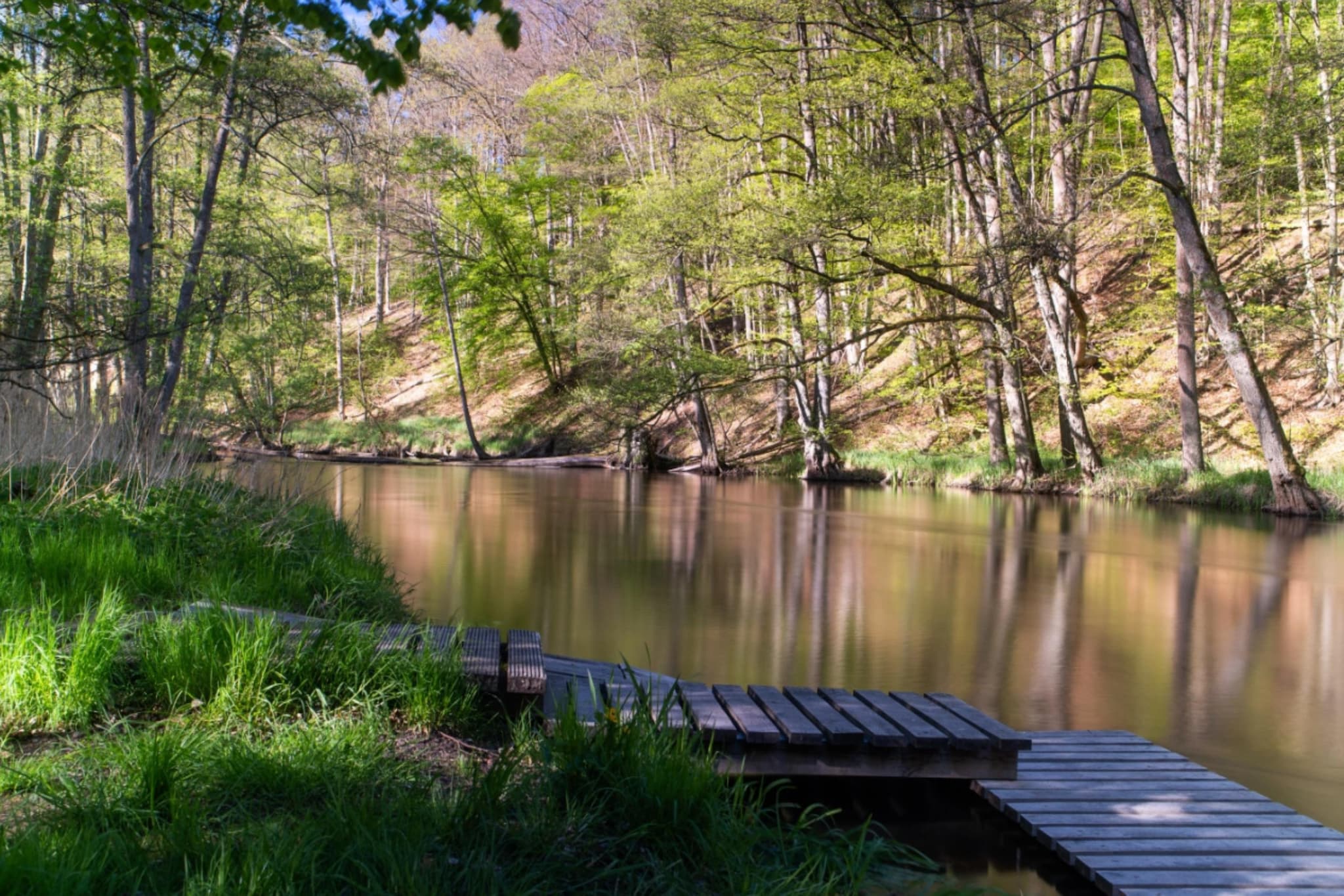 Dom wakacyjny w Drawieńskim Parku Narodowym - Areas within 5km in summer
