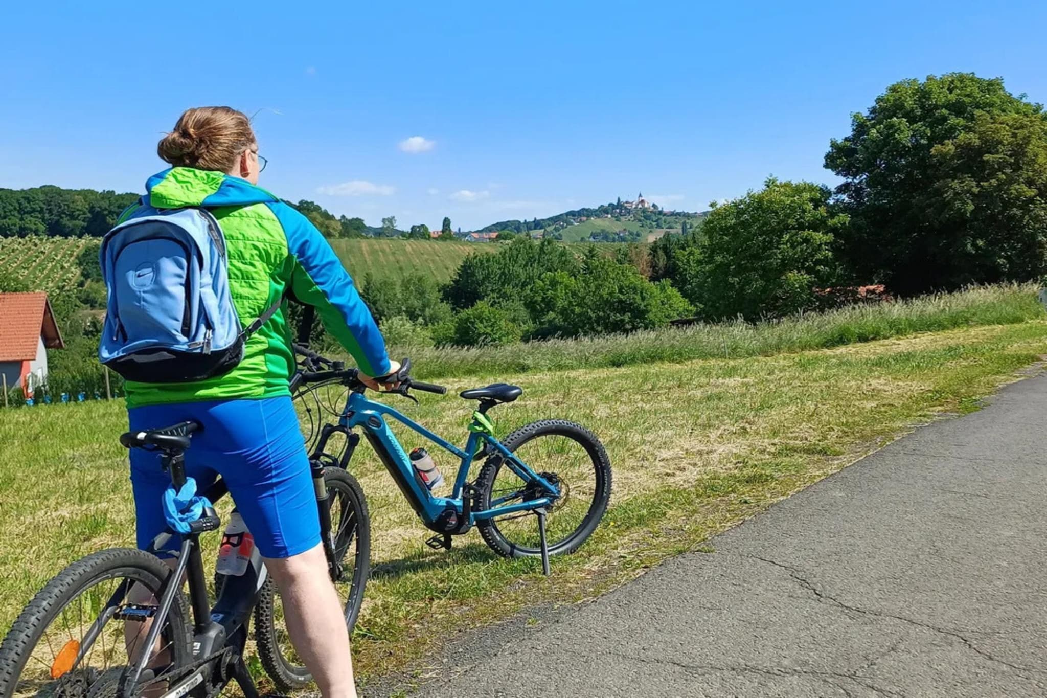 Blütenstockl - Areas within 1km in summer