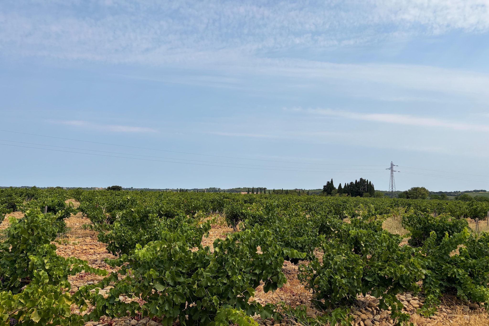 Sorgue 9 - Gebiete Sommer 5 km