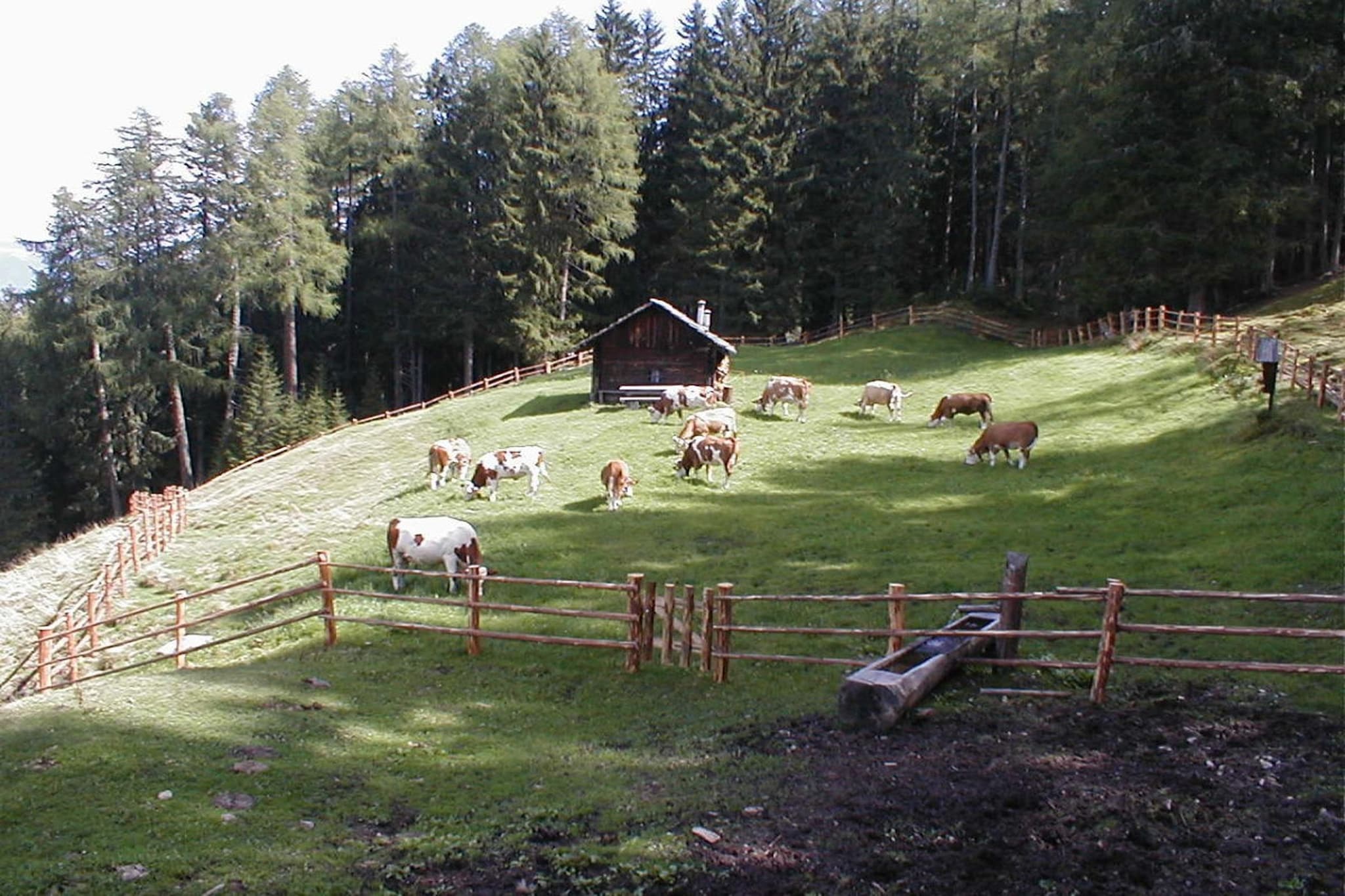 46254 - Tuinen zomer