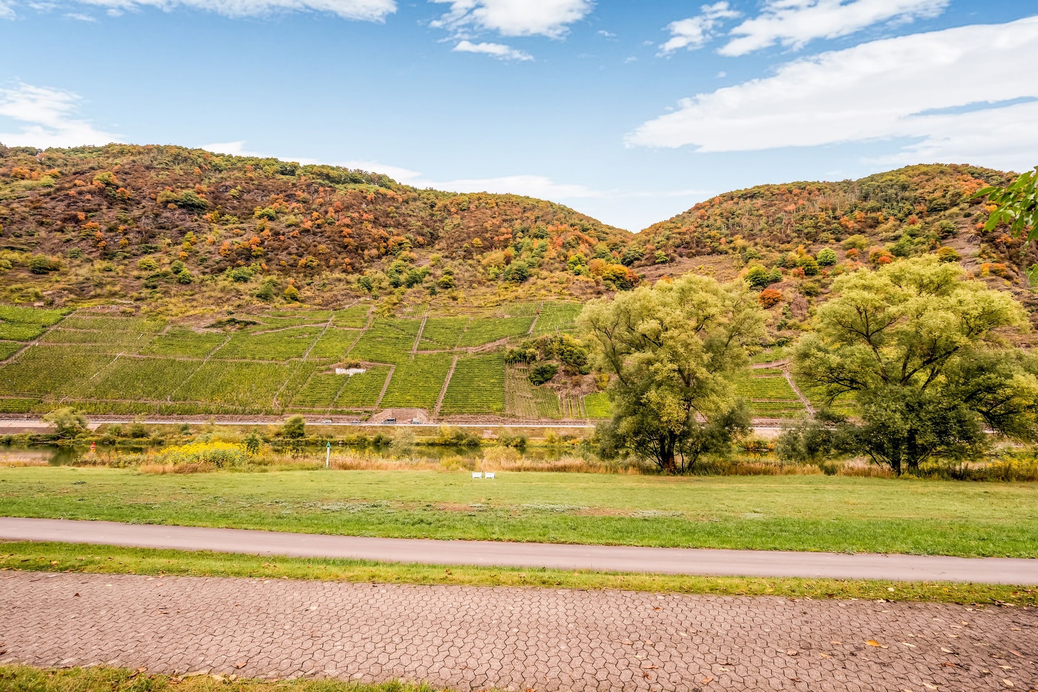 Ferienhaus Weingut Reitz - Gebieden zomer 1km